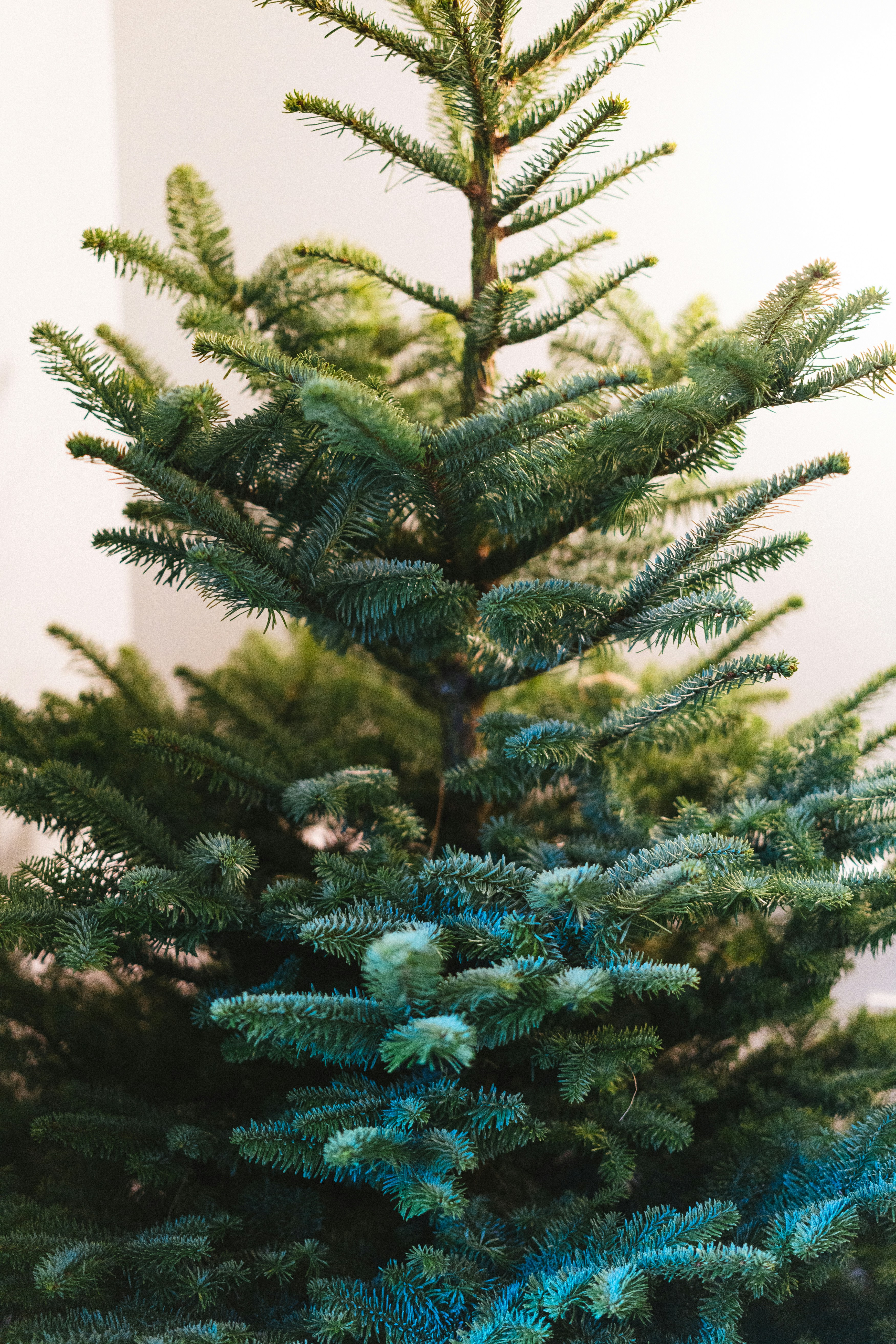 Photo by philhearing