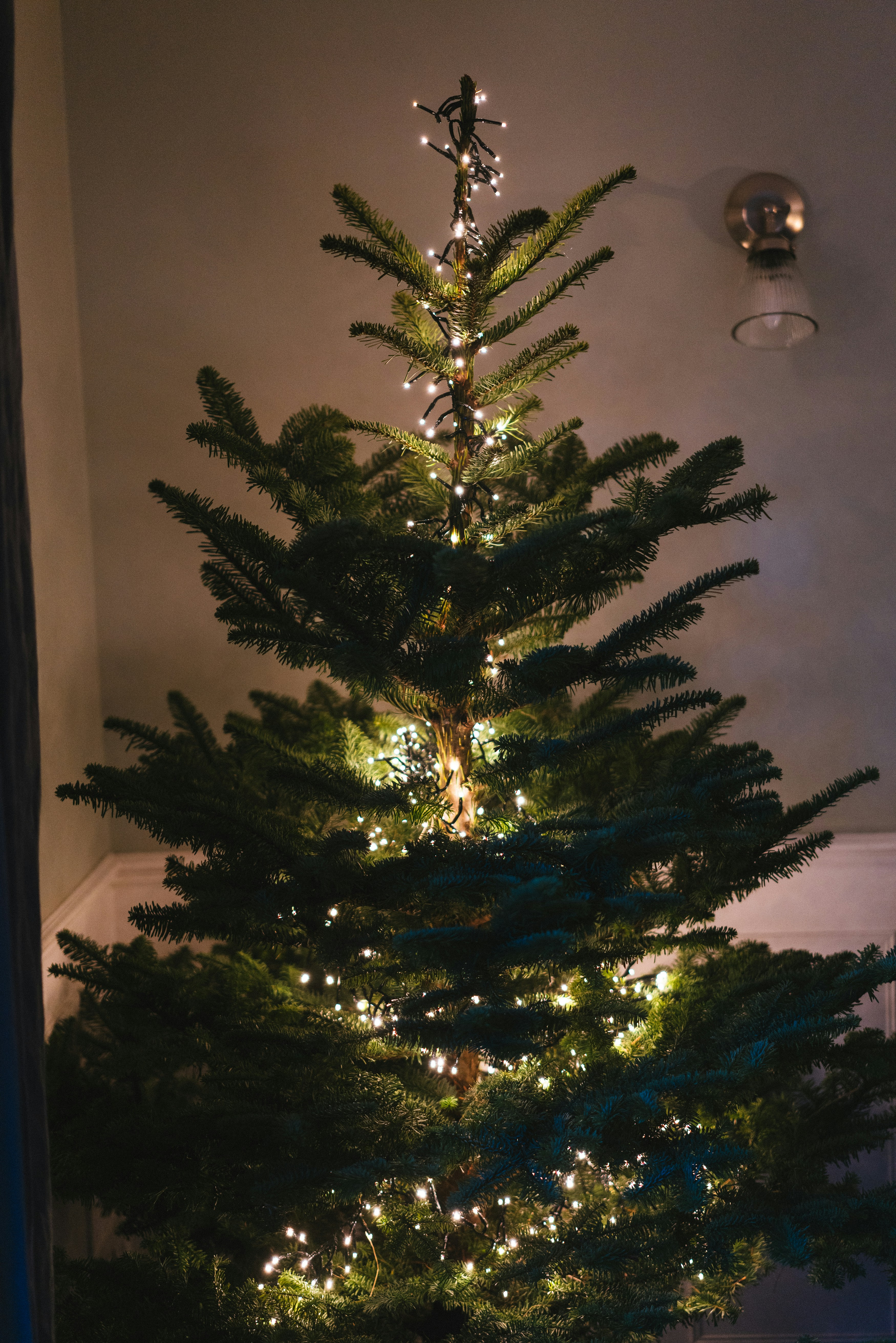 Photo by philhearing