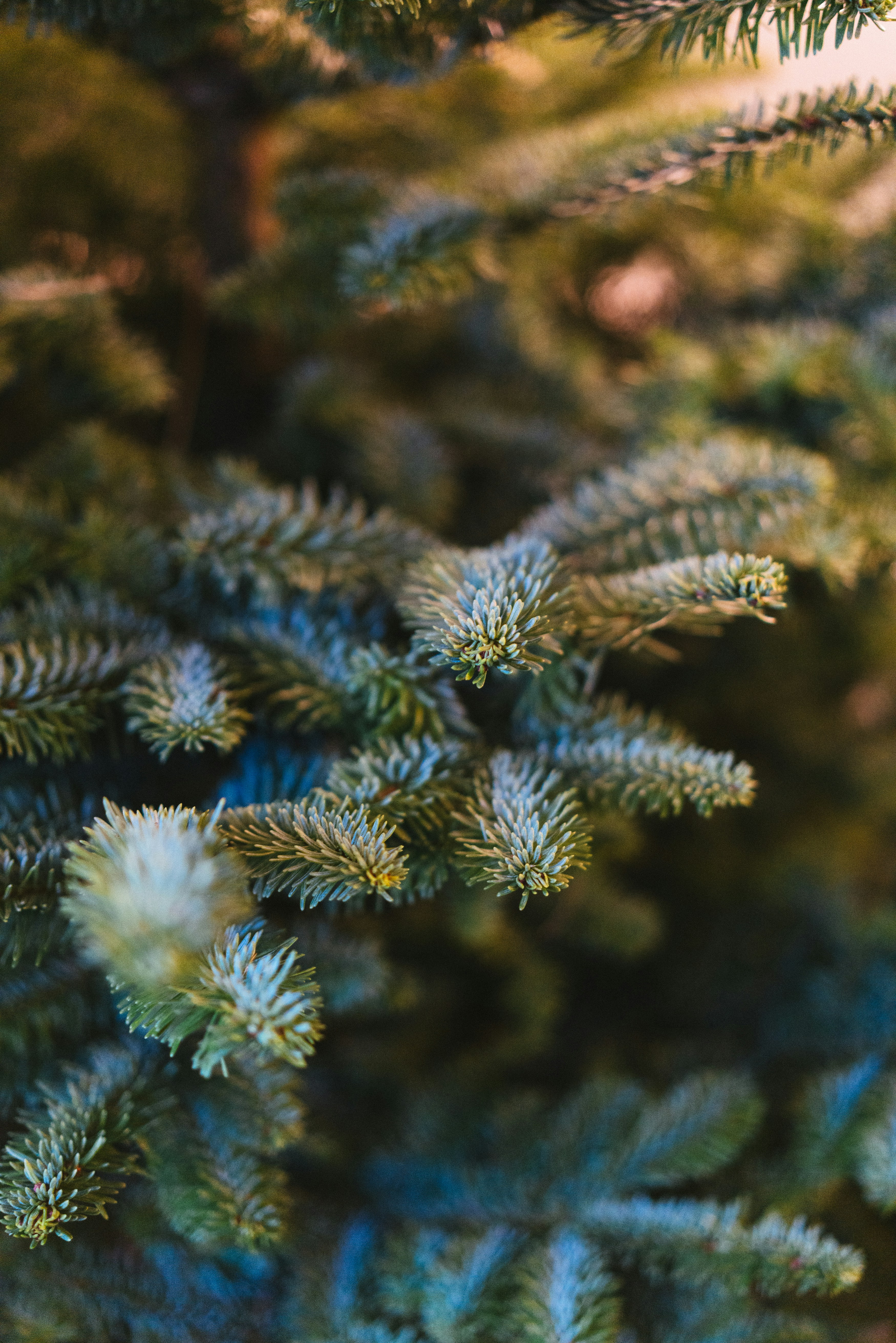 Photo by philhearing