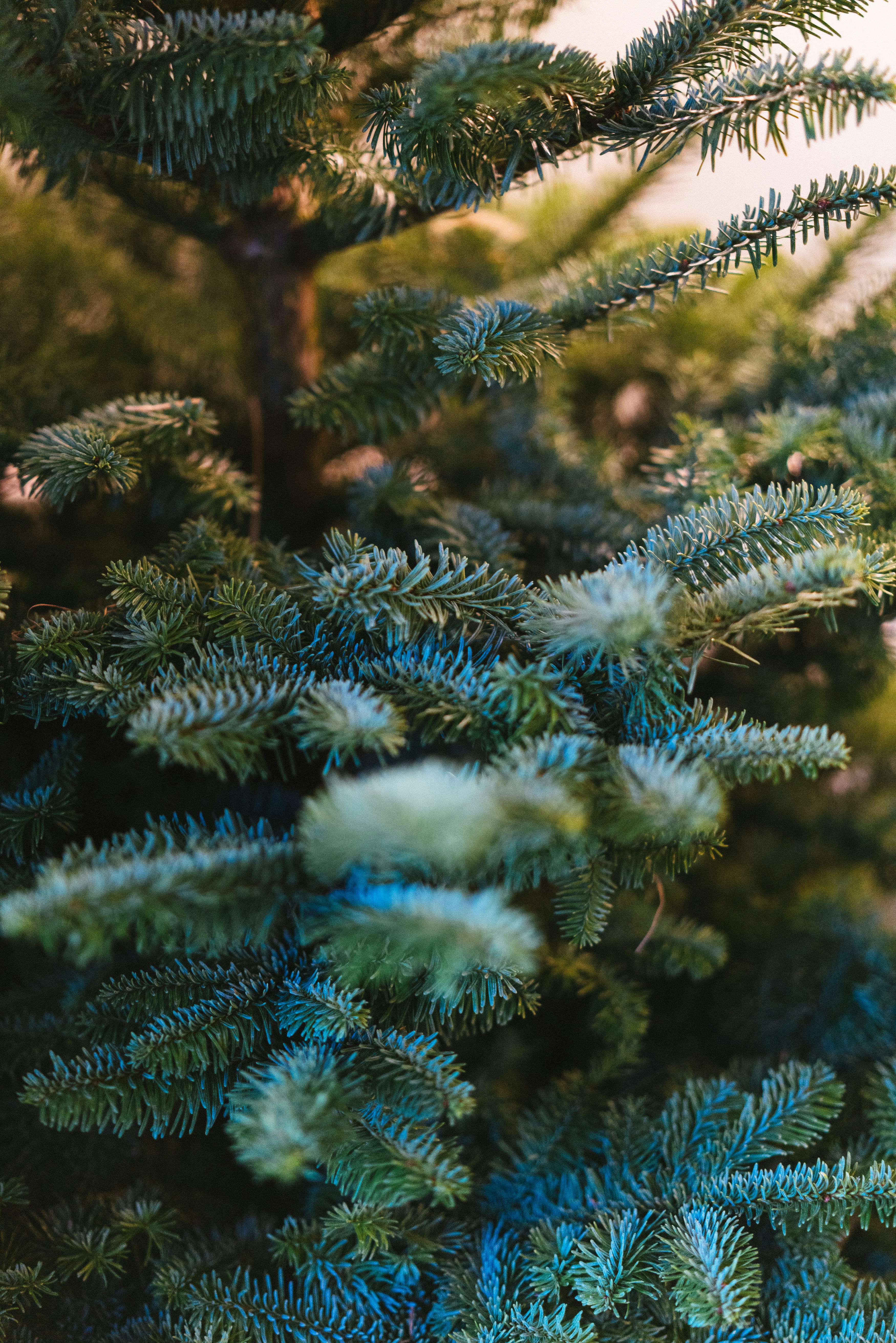 Photo by philhearing