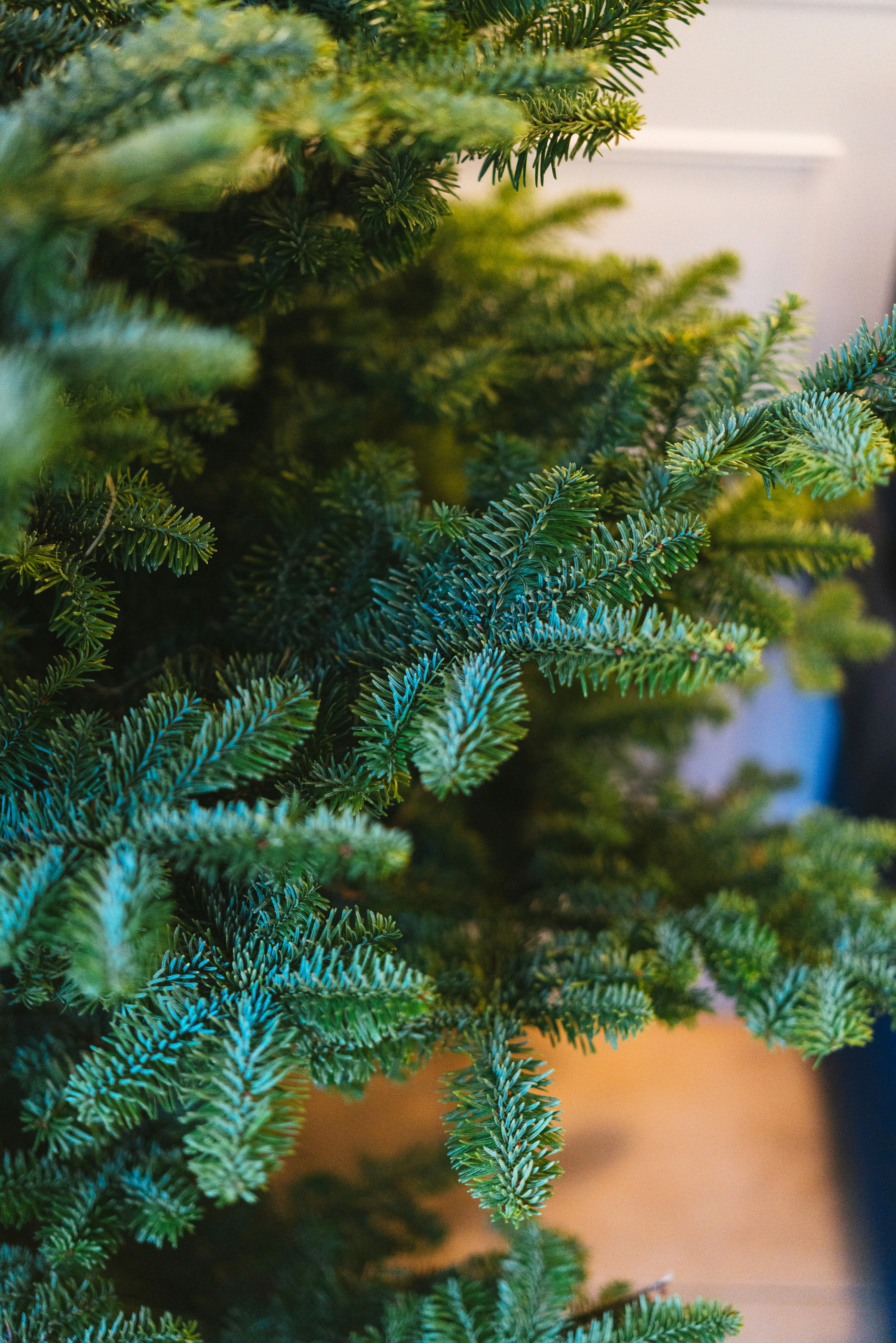 Photo by philhearing