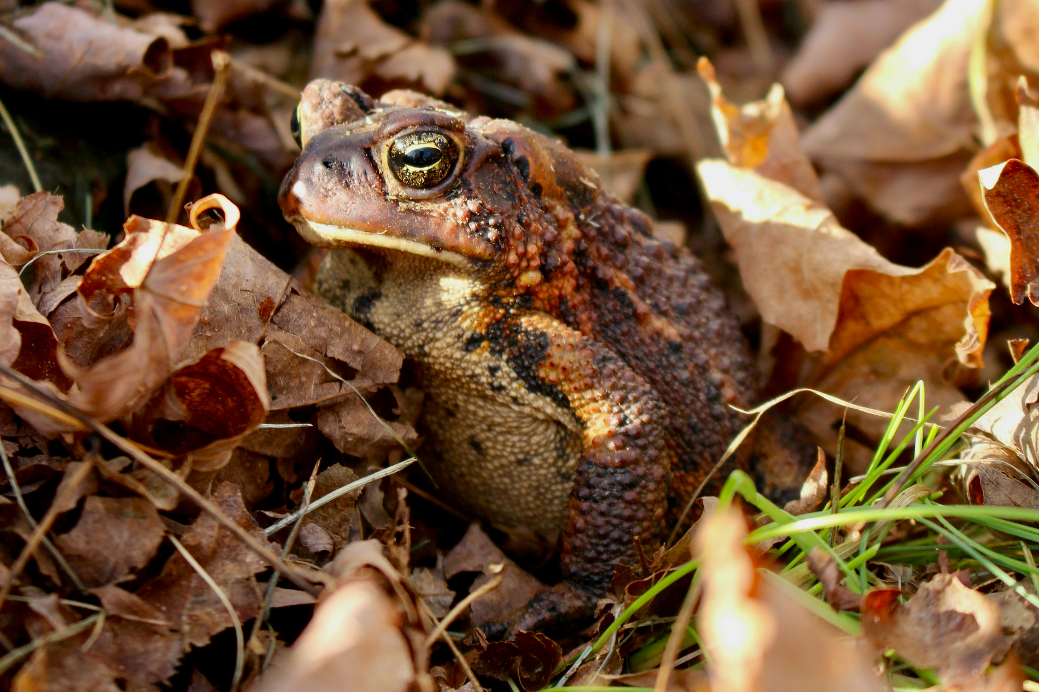 Photo by cecilemousist