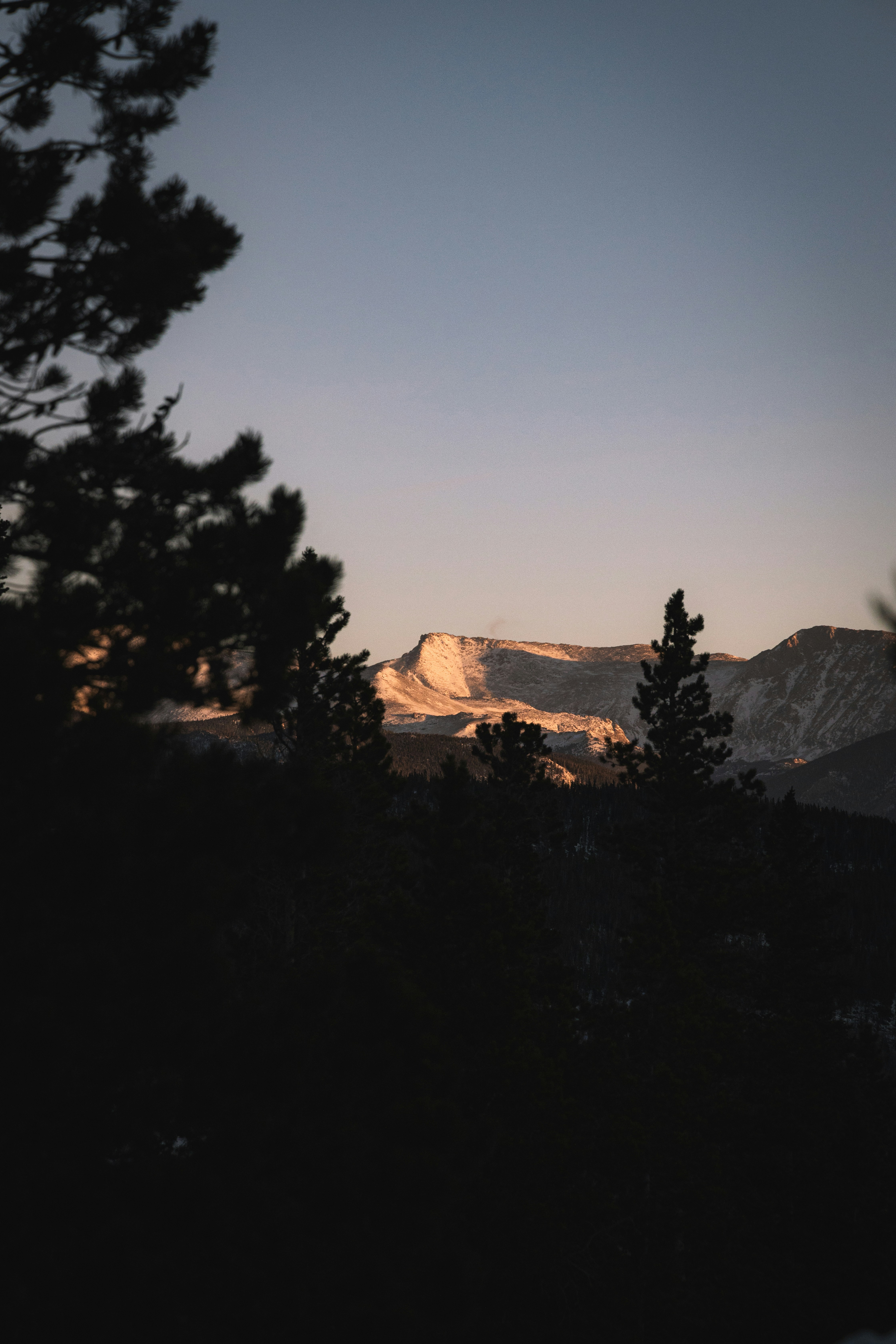 Photo by ldpeterson11