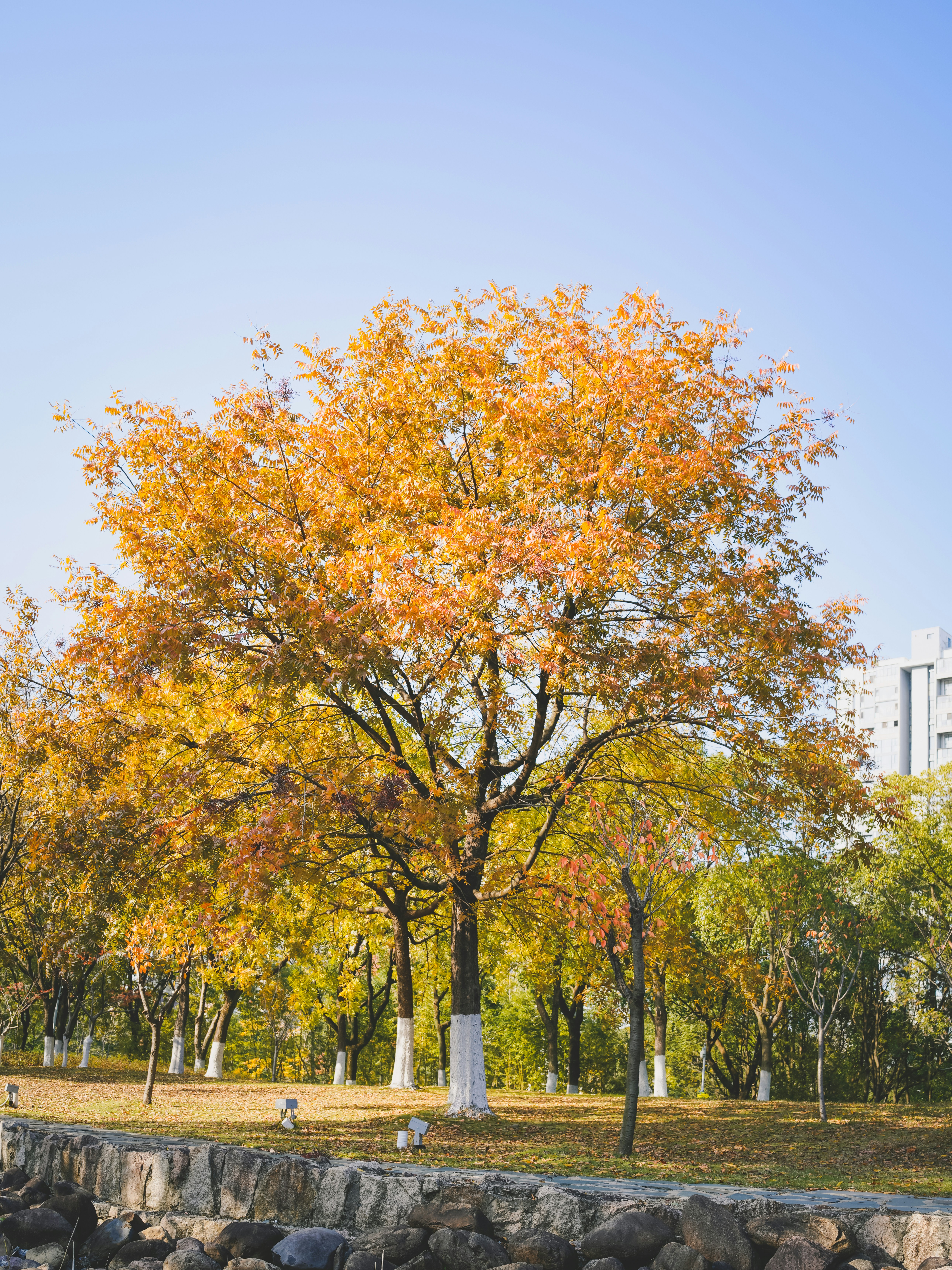 Photo by dongcheng