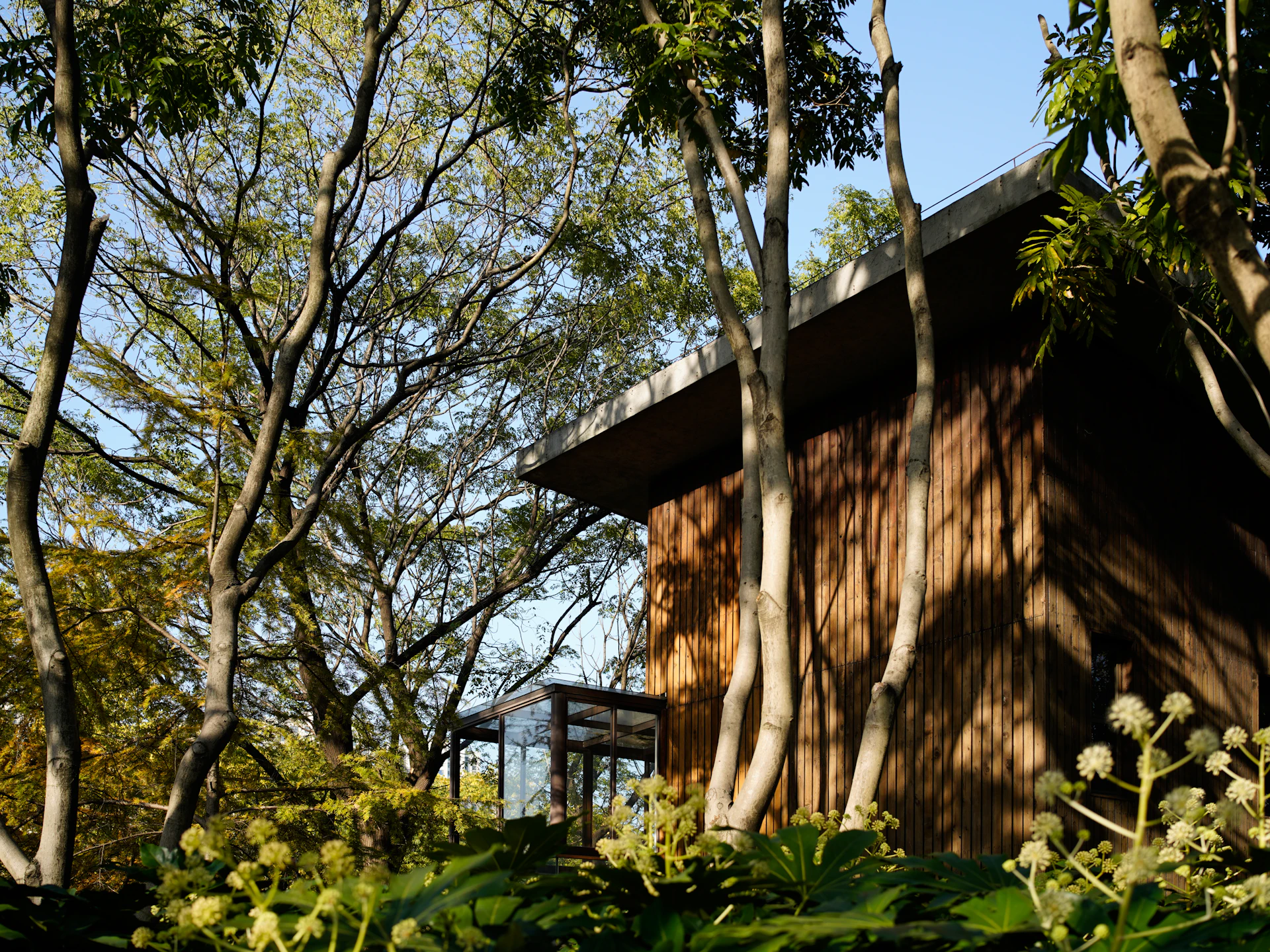 Maison bois dans la forêt