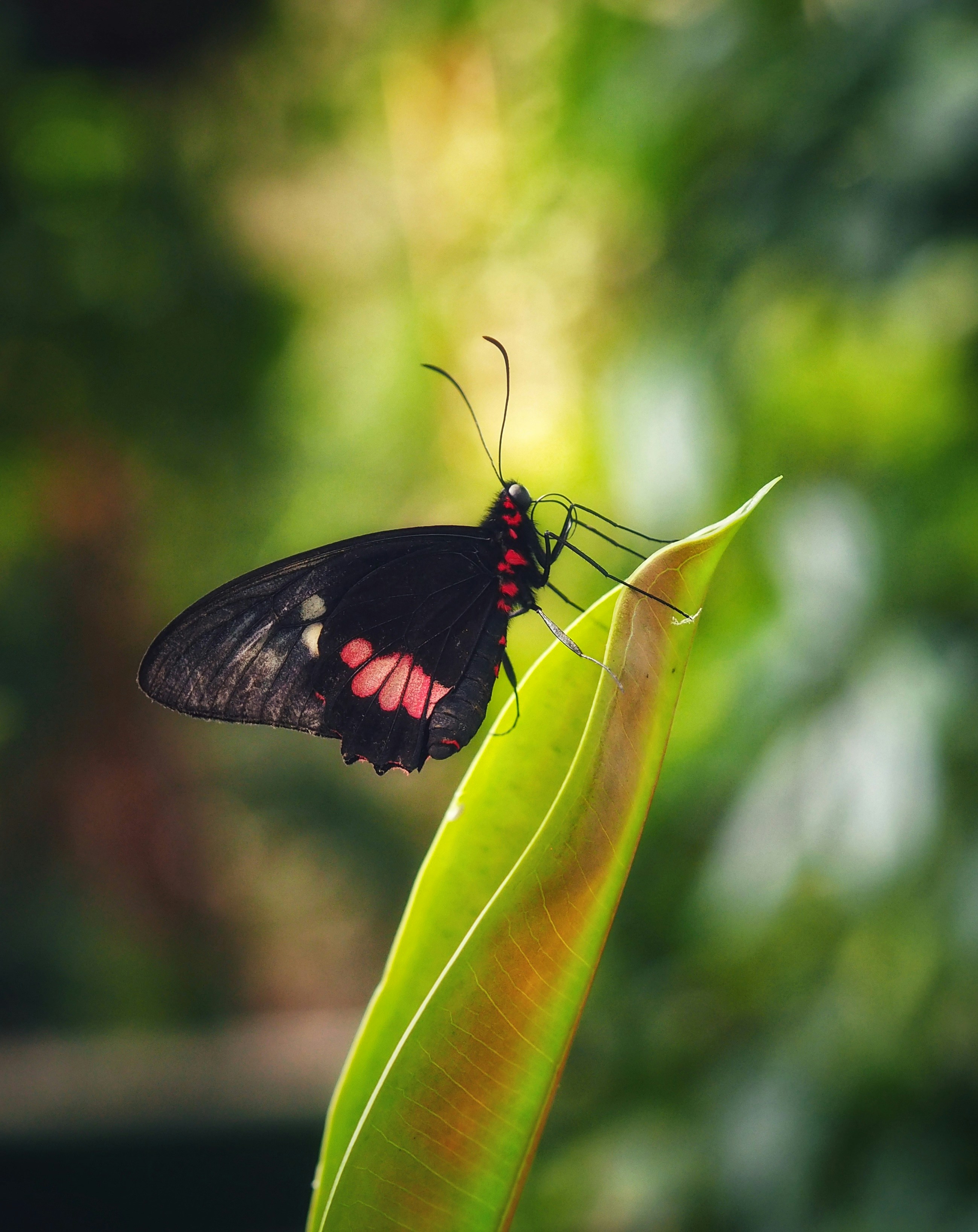 Photo by louiseellisphotography