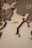 A wooden map of the world with countries