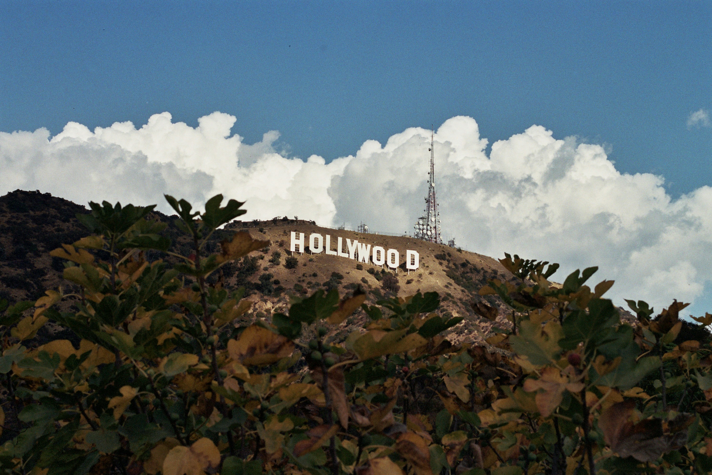 Hollywood Sign hike: Weather Considerations