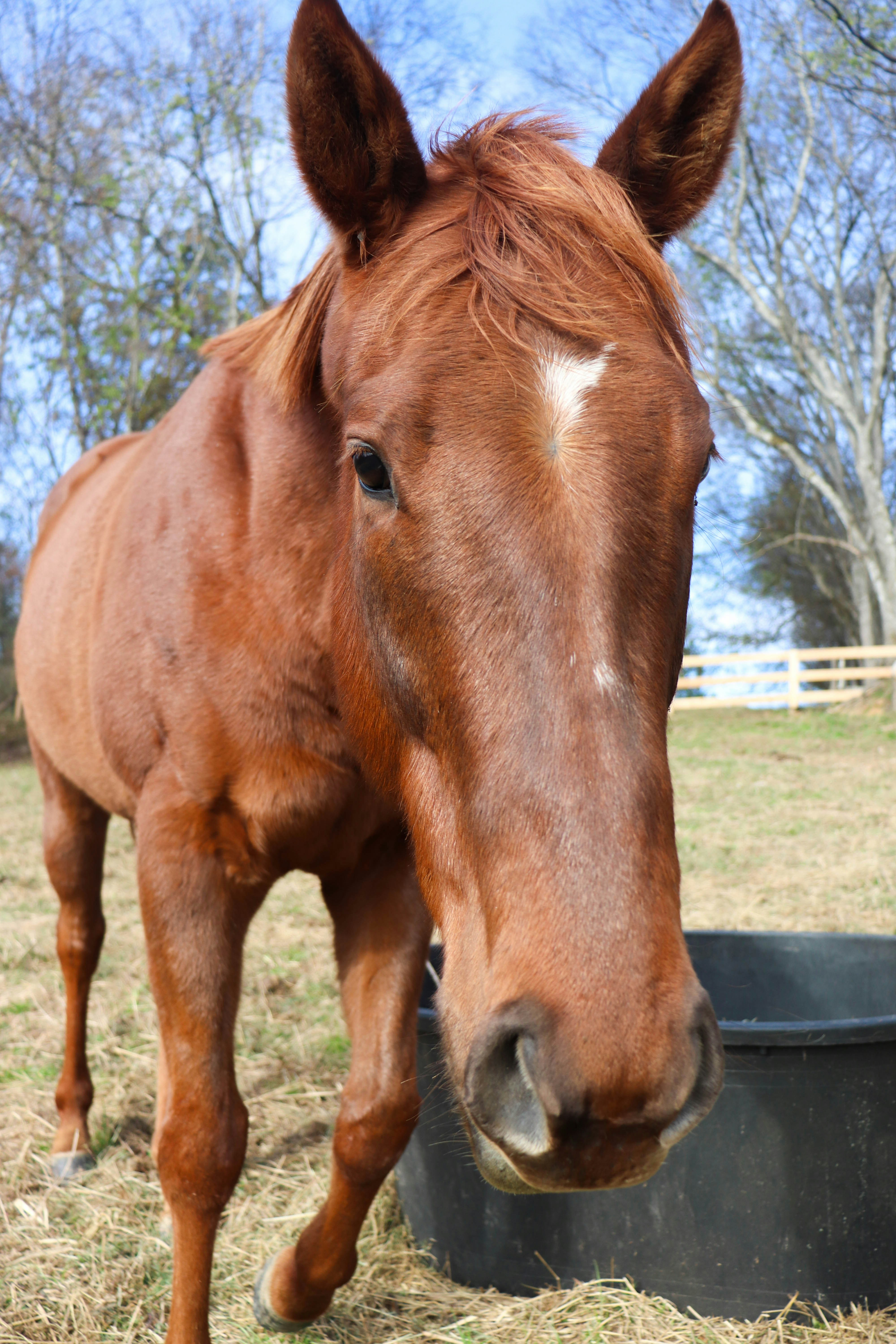 Photo by lroberts067