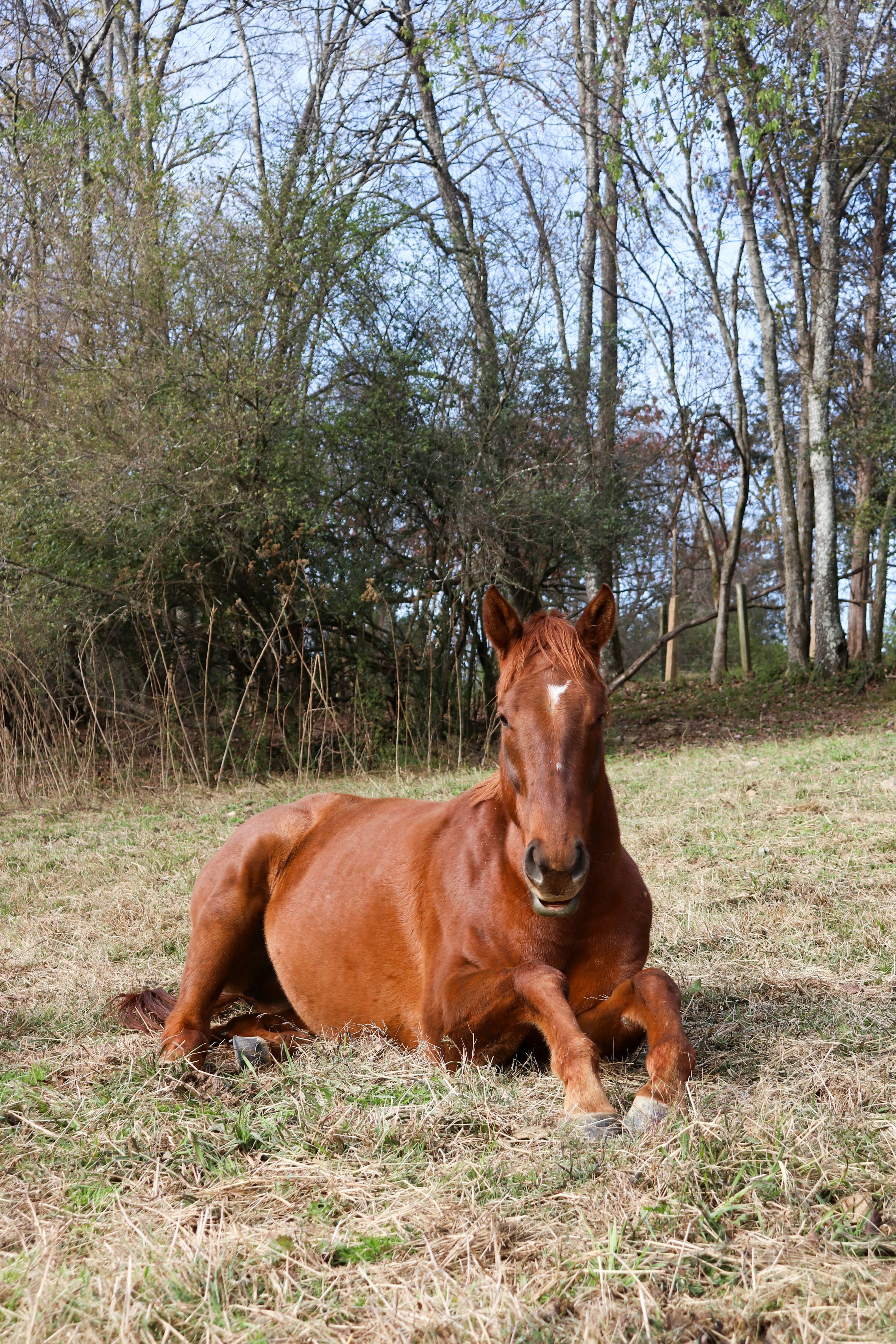 Photo by lroberts067