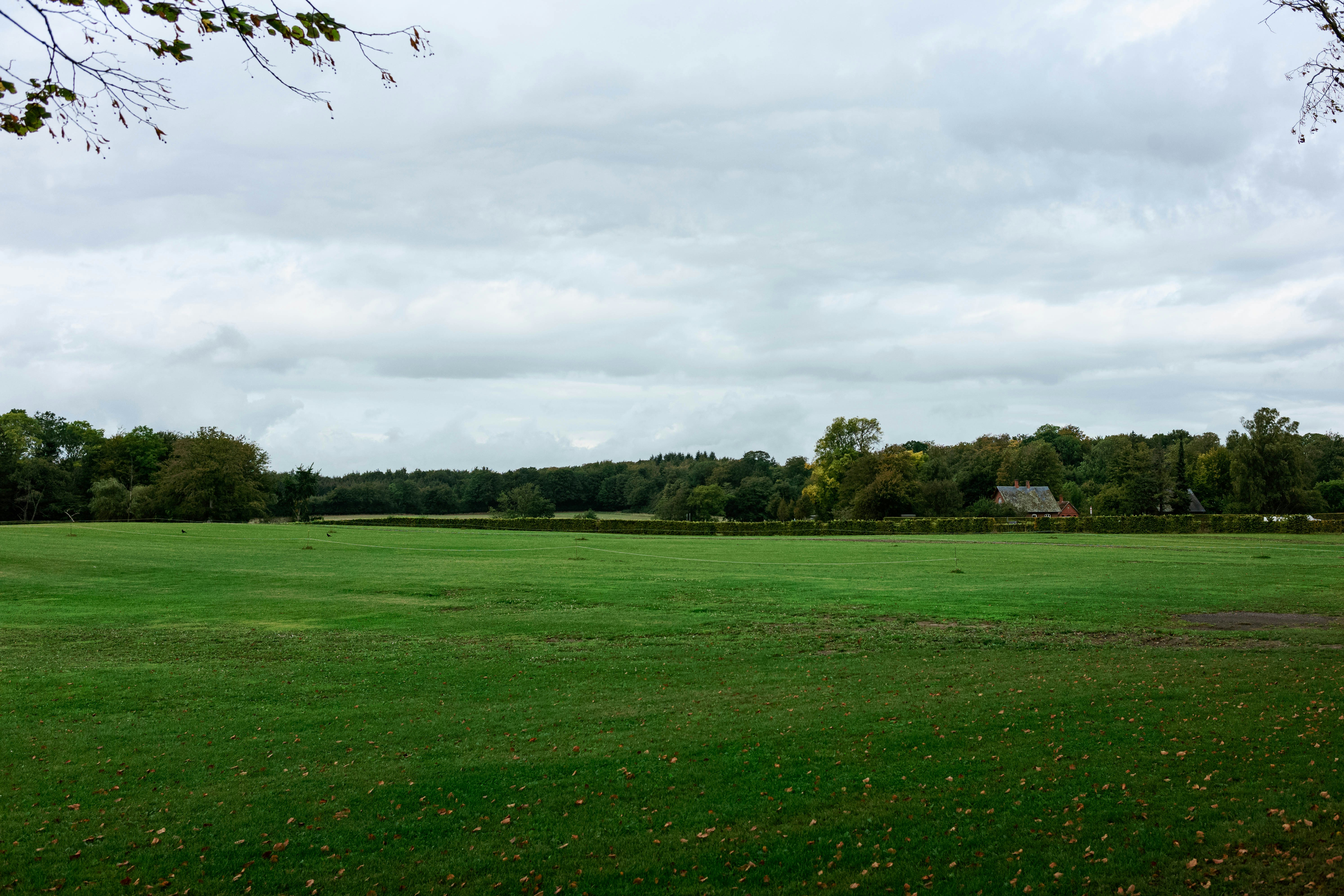 Photo by tommaomaoer