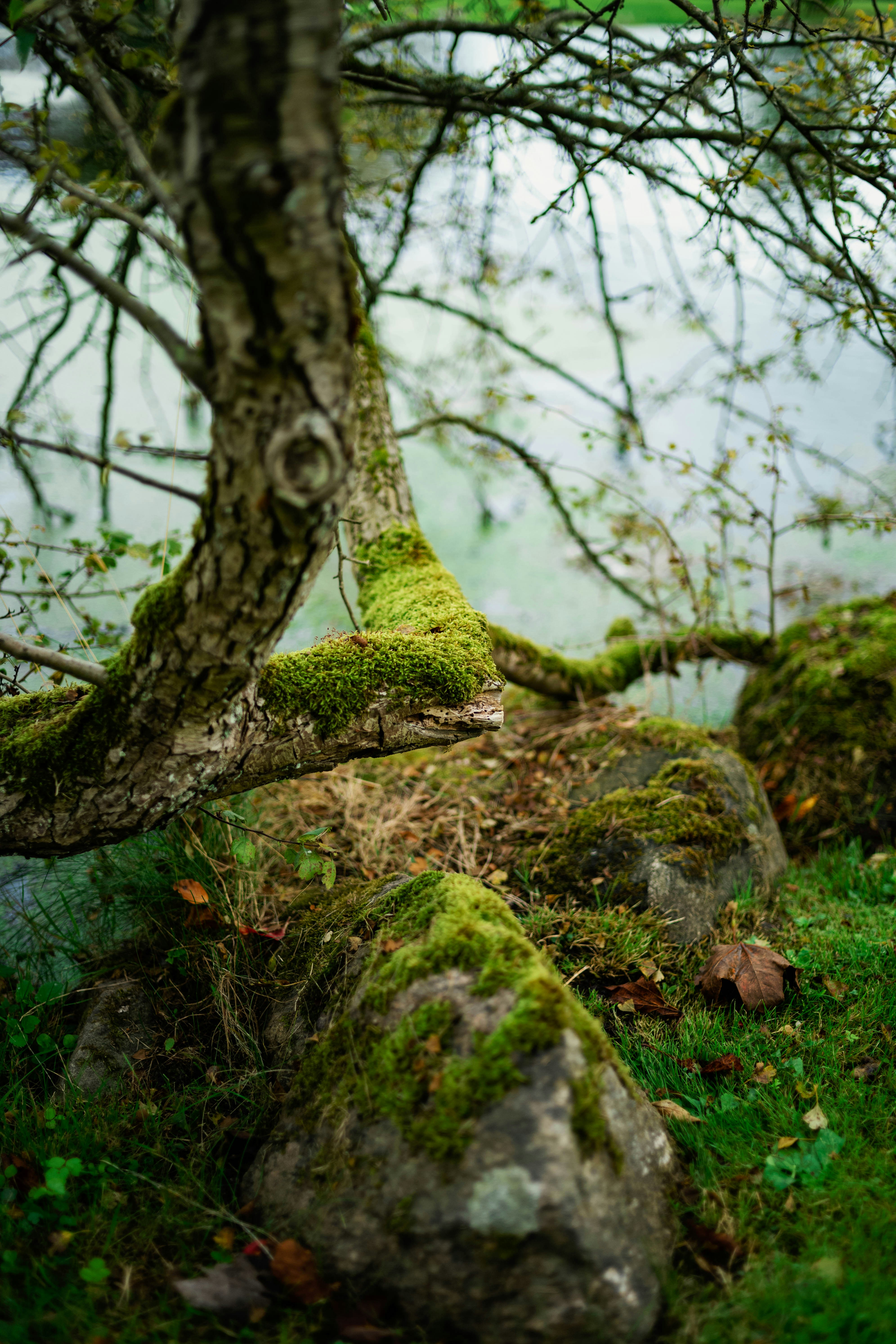 Photo by tommaomaoer