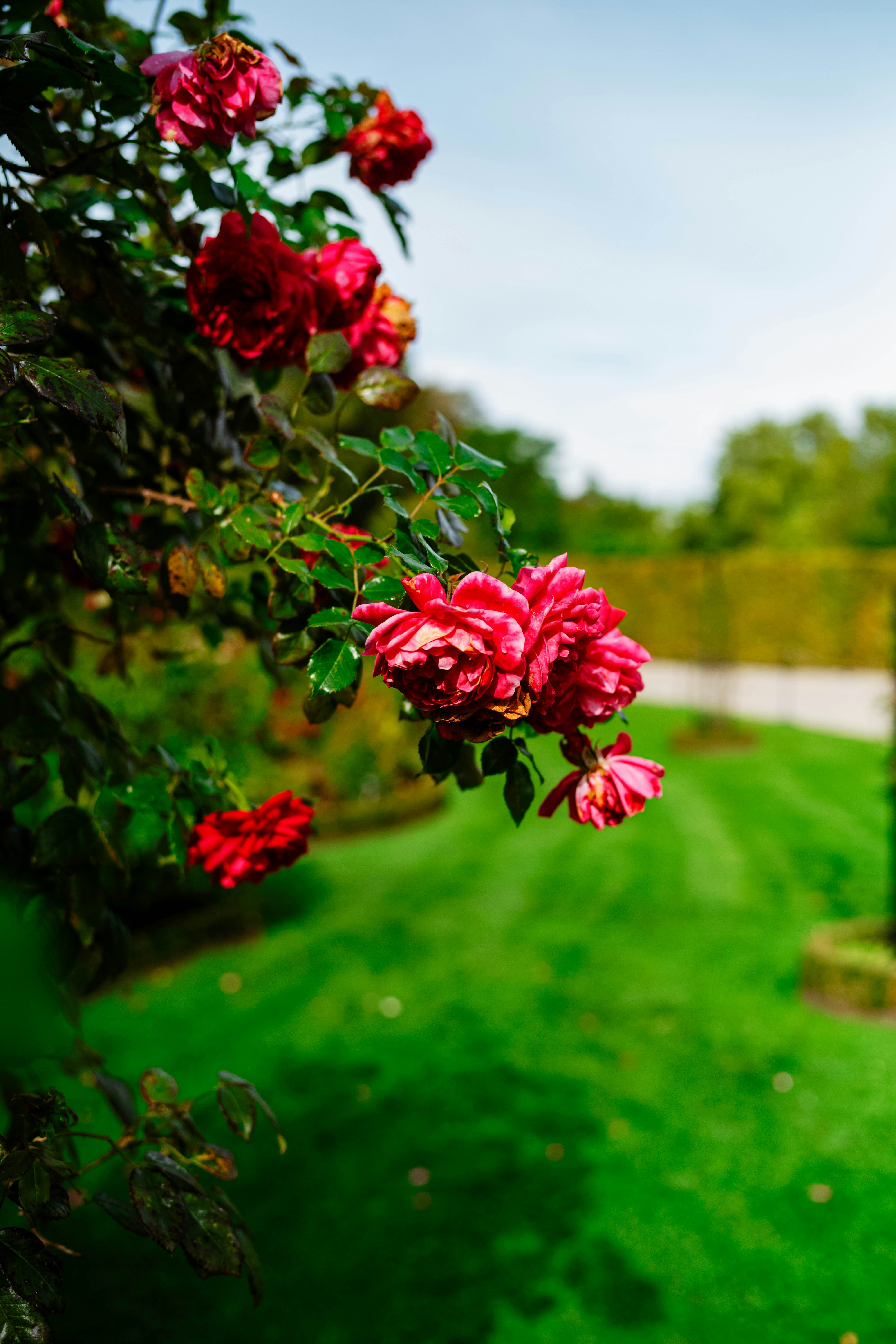 Photo by tommaomaoer