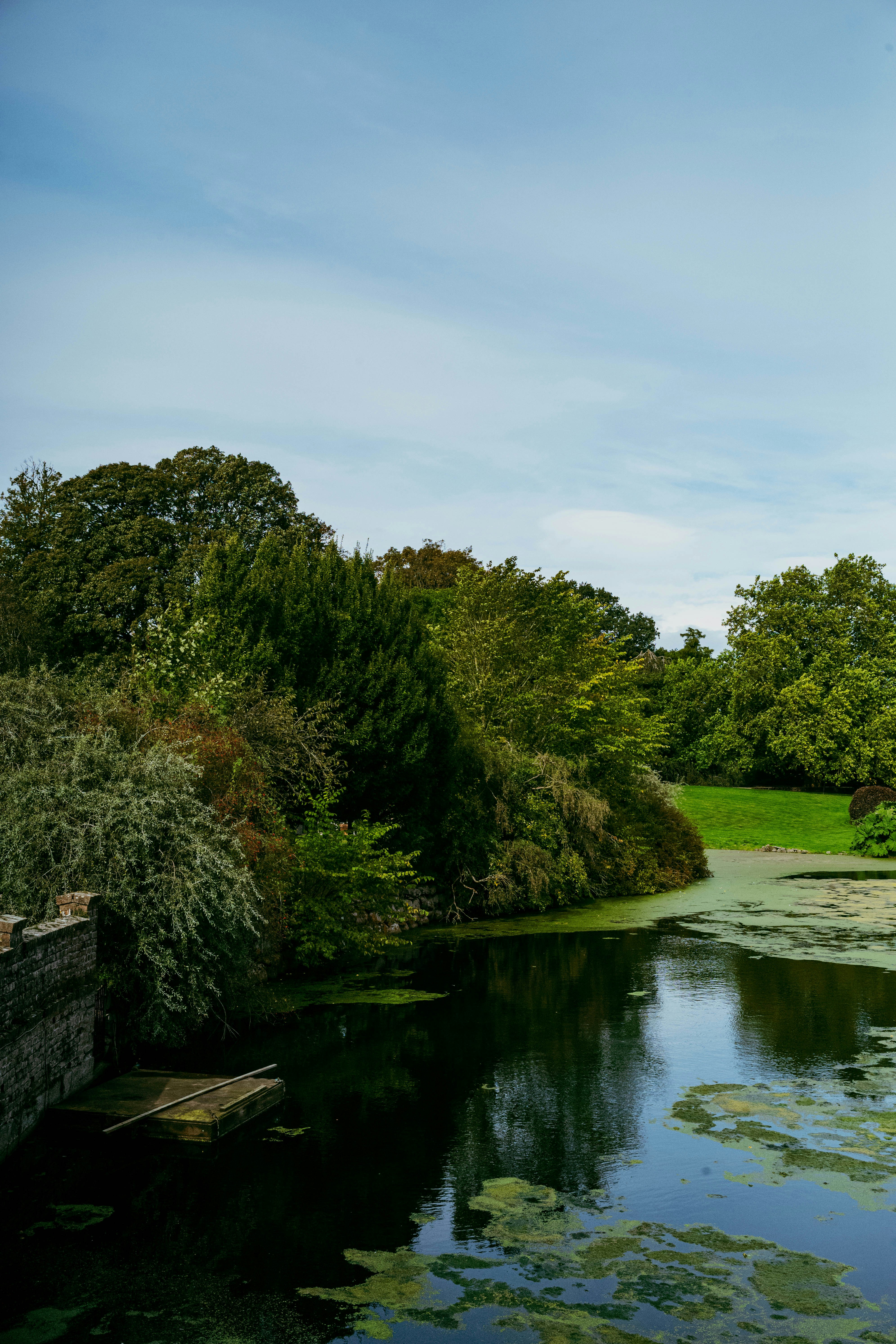 Photo by tommaomaoer