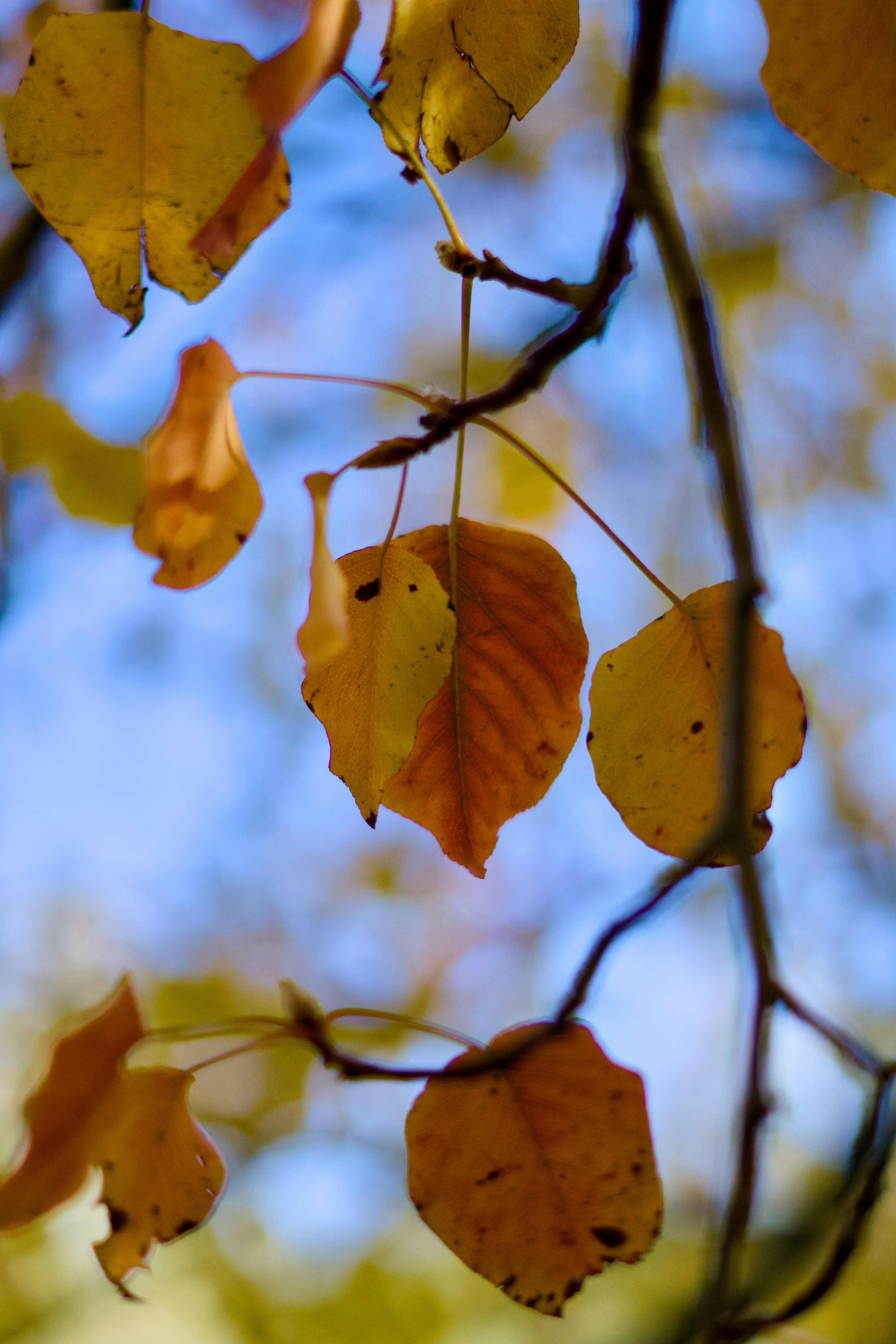 Photo by spencer_demera