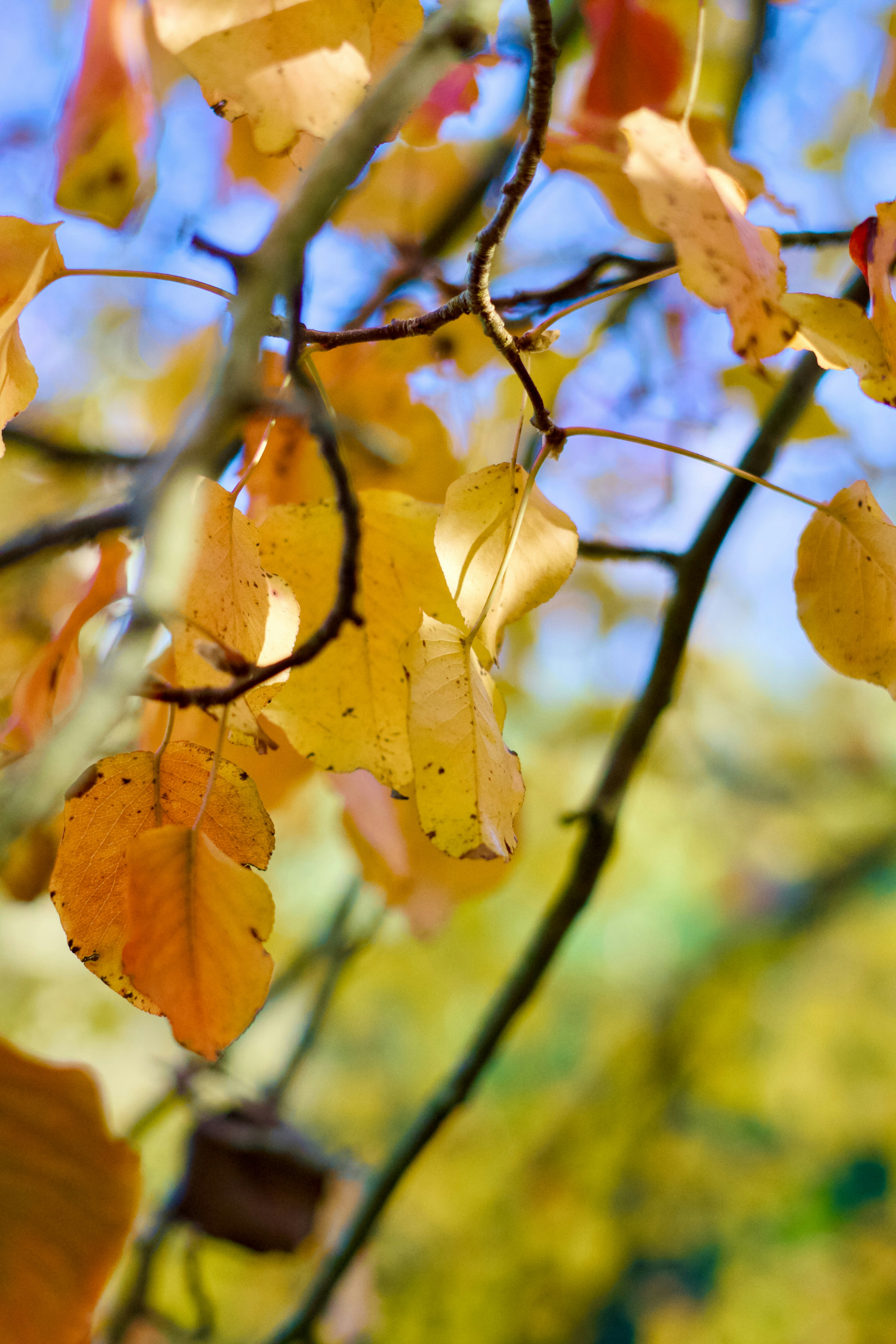 Photo by spencer_demera