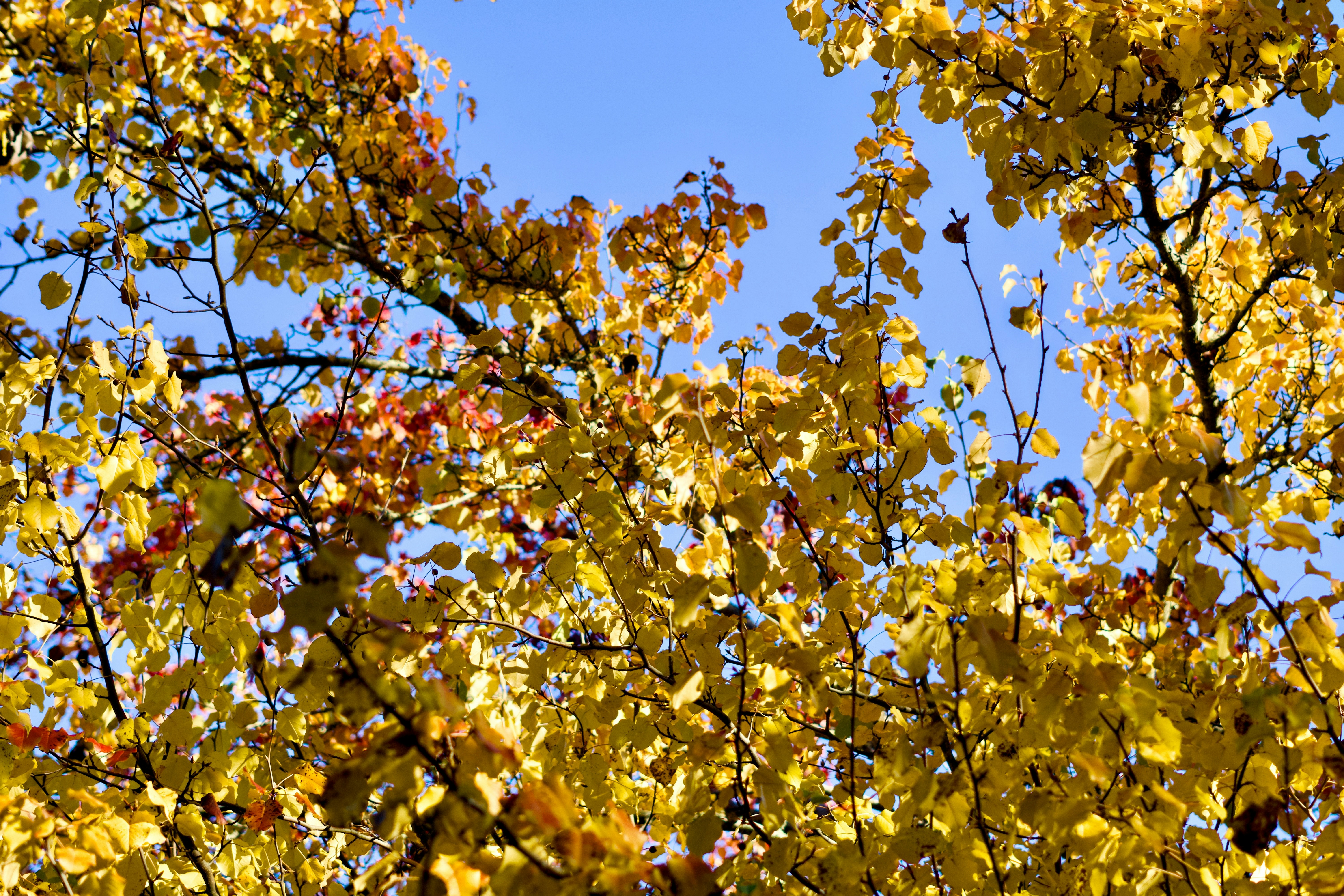 Photo by spencer_demera