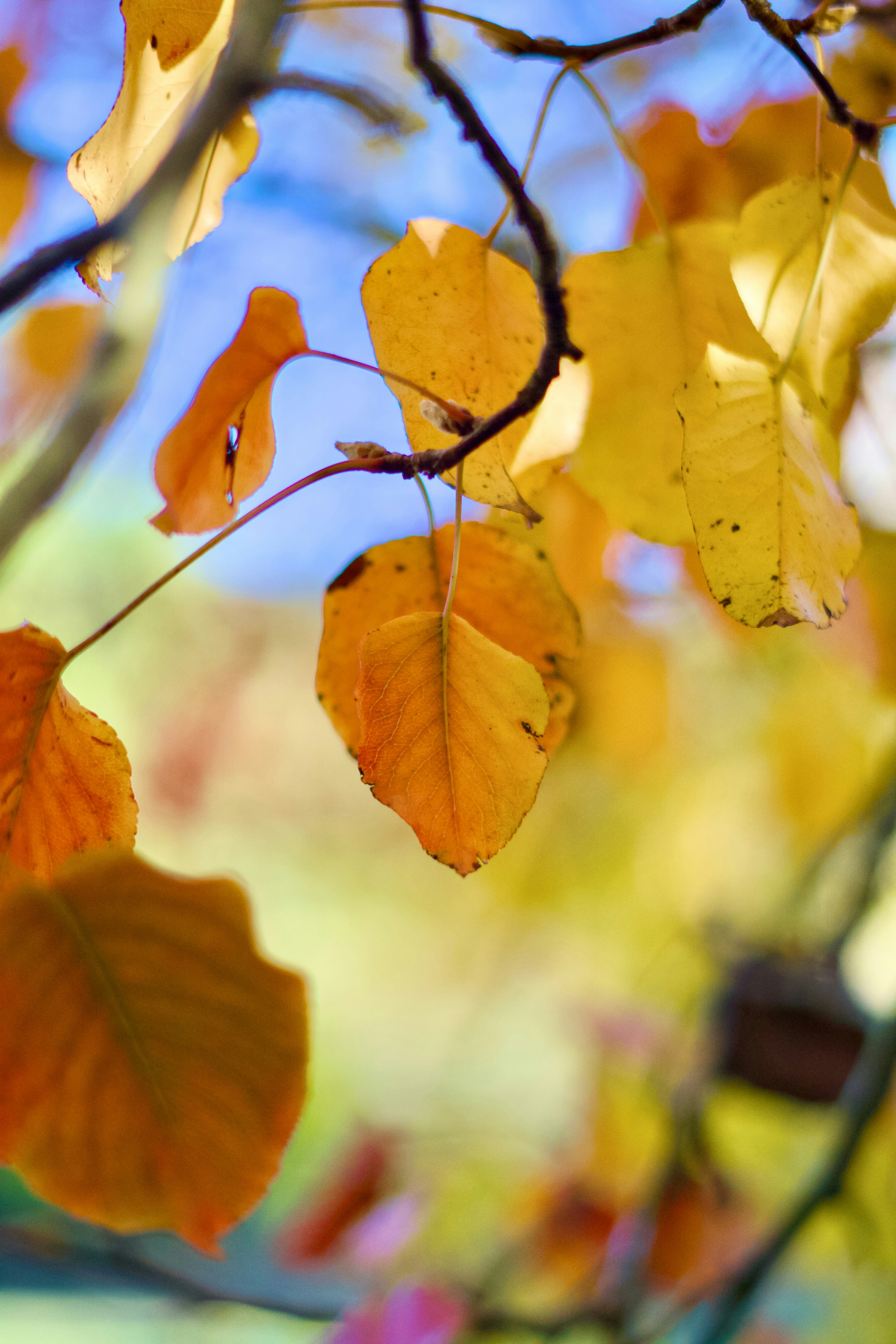 Photo by spencer_demera