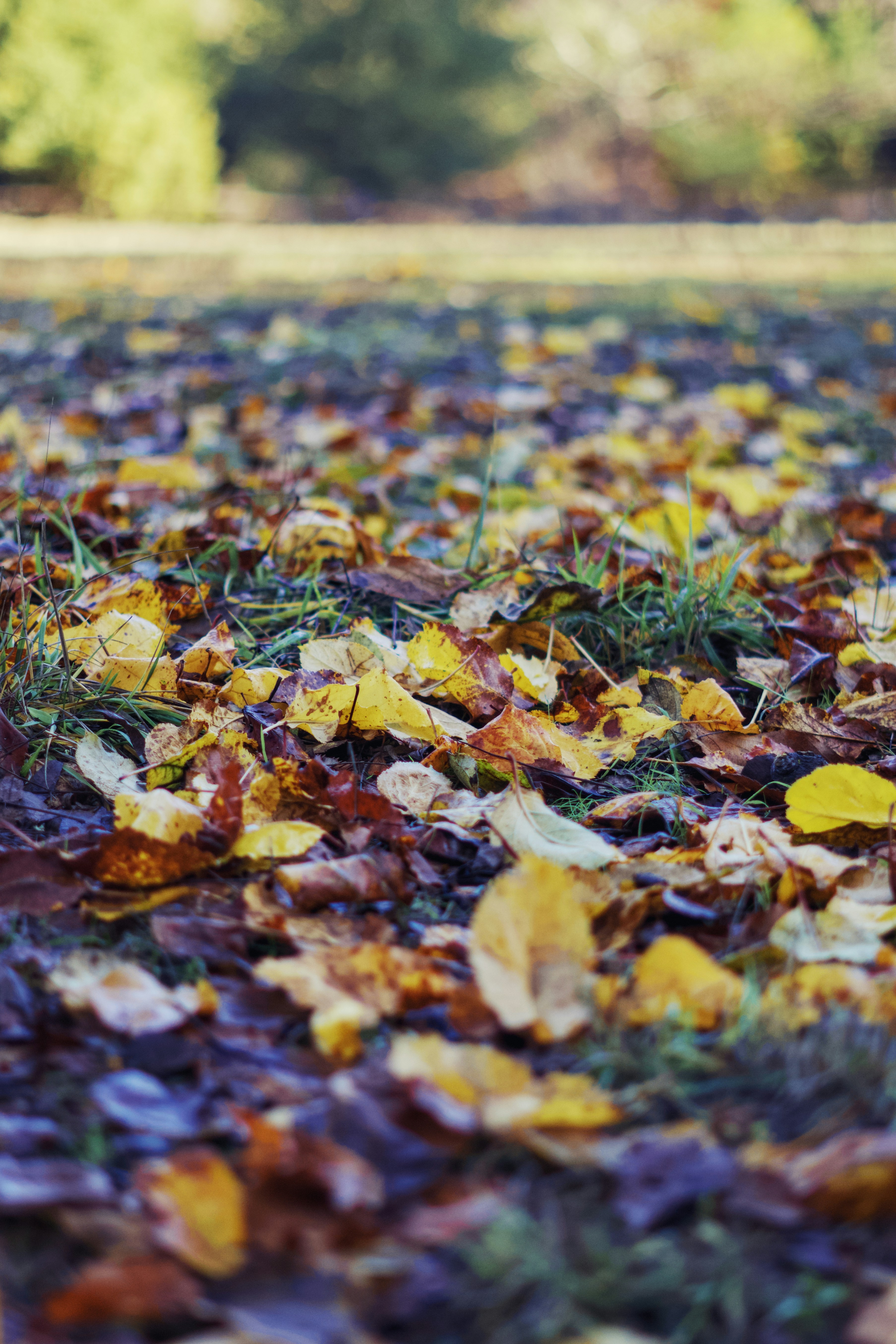 Photo by spencer_demera