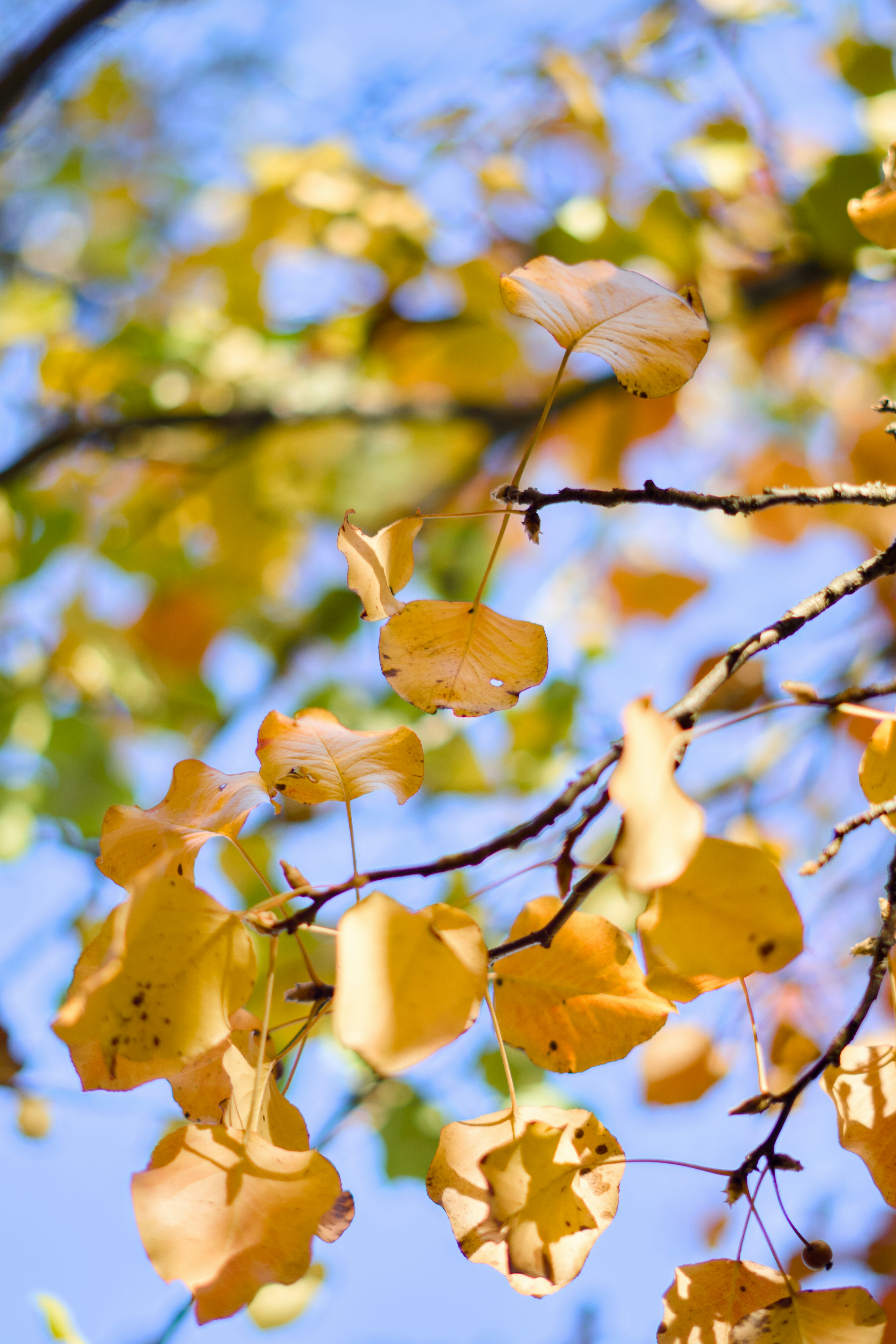 Photo by spencer_demera