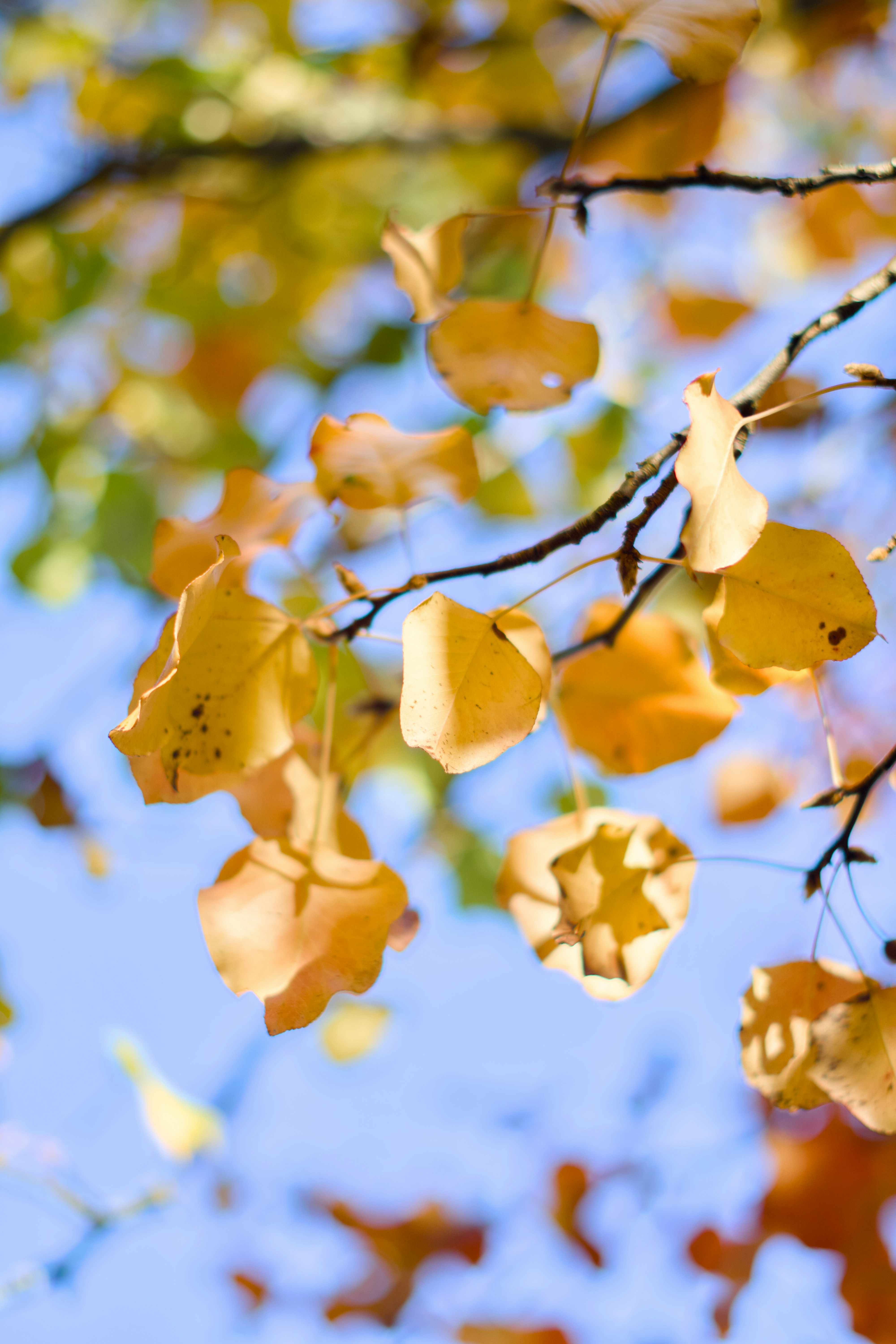 Photo by spencer_demera