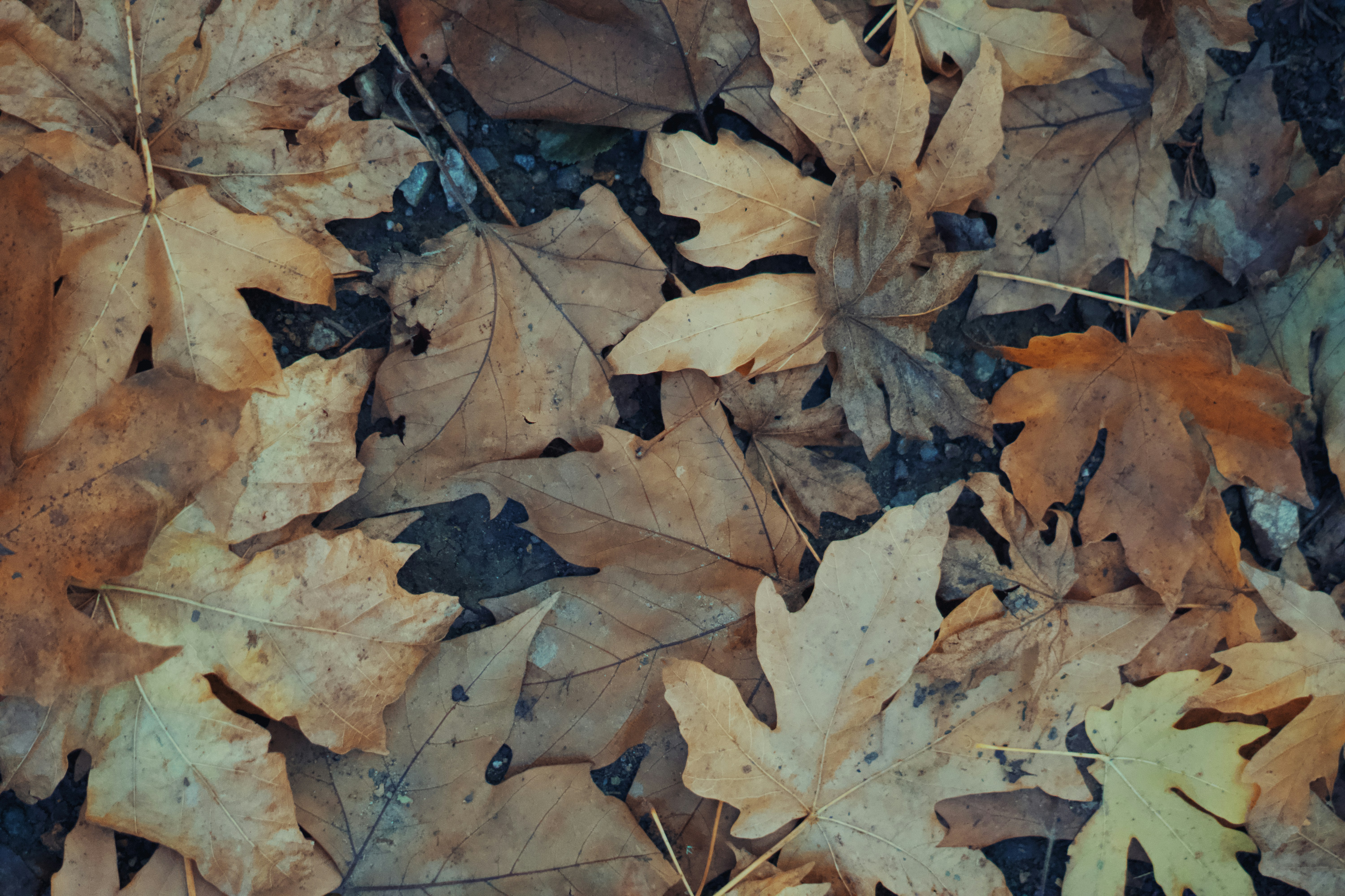 Park City Housing Market Update: September vs. October 2025