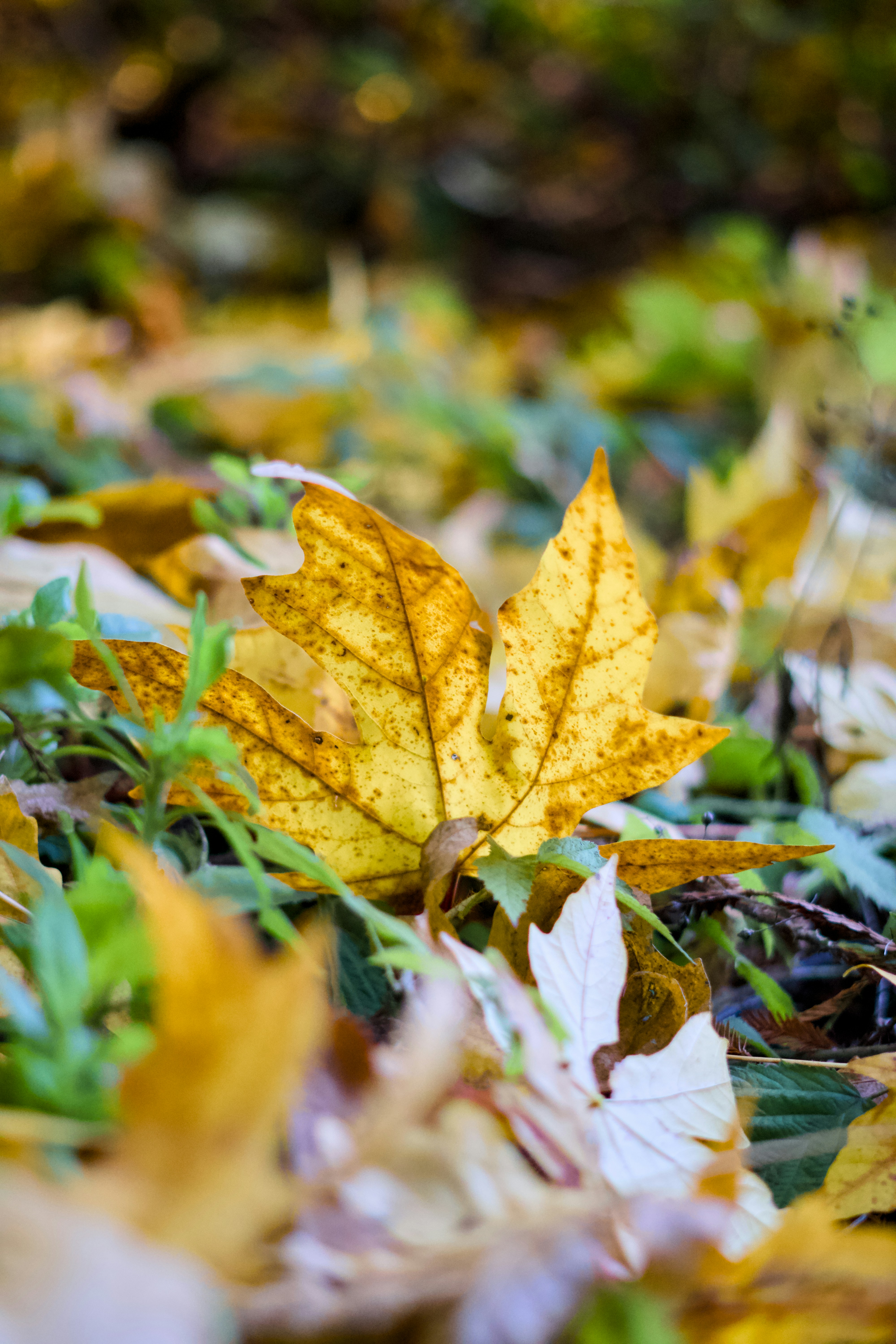 Photo by spencer_demera