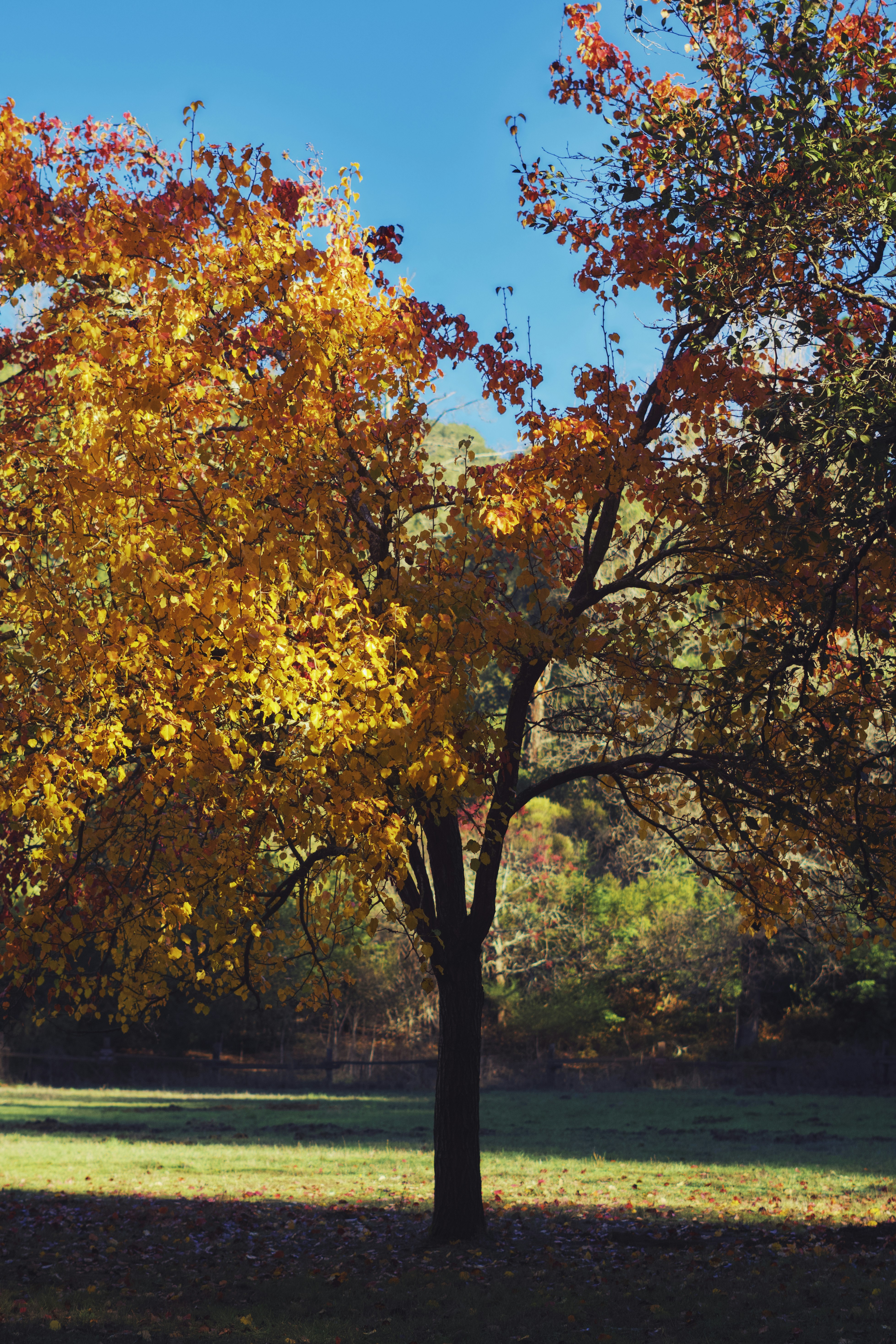 Photo by spencer_demera