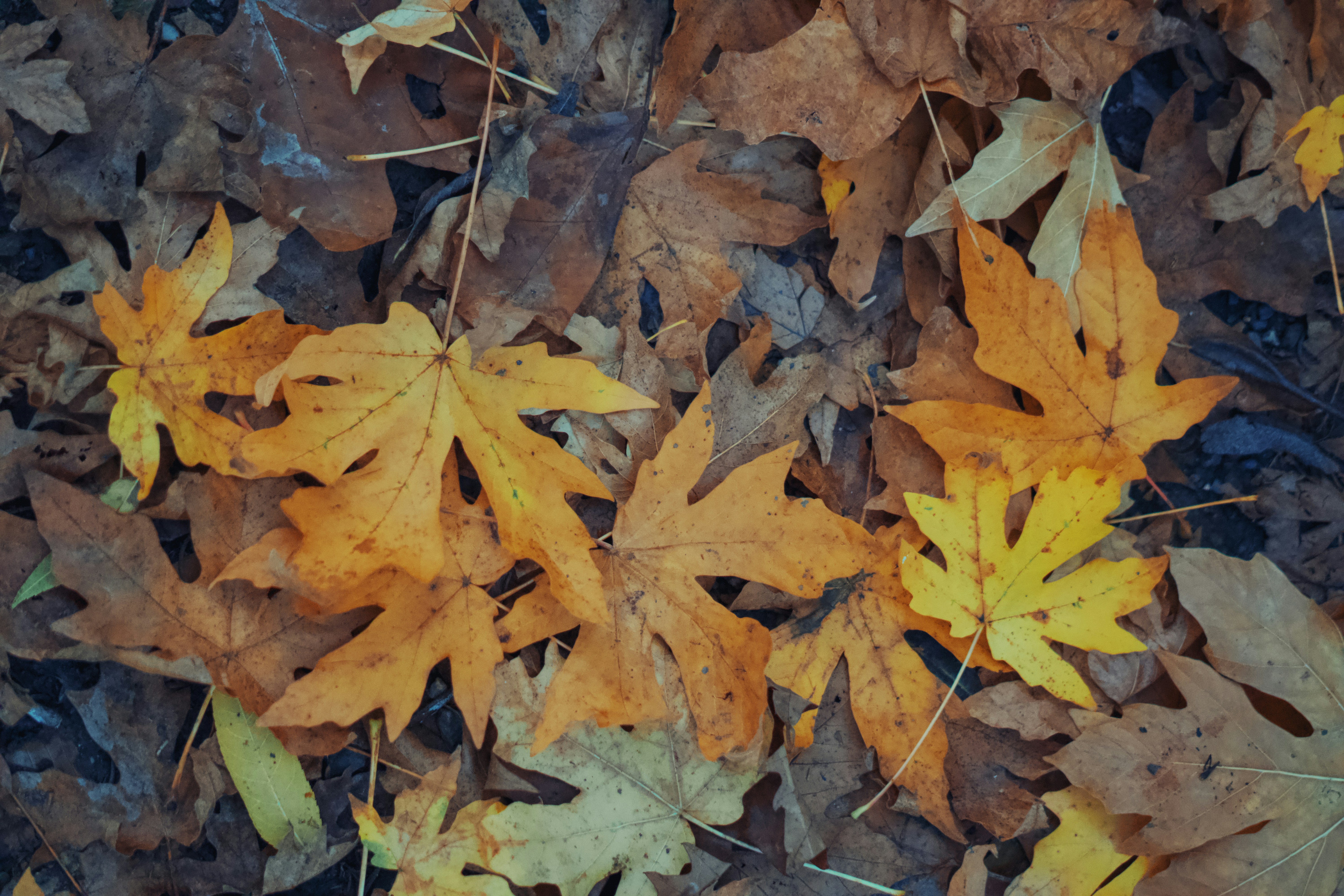 Photo by spencer_demera