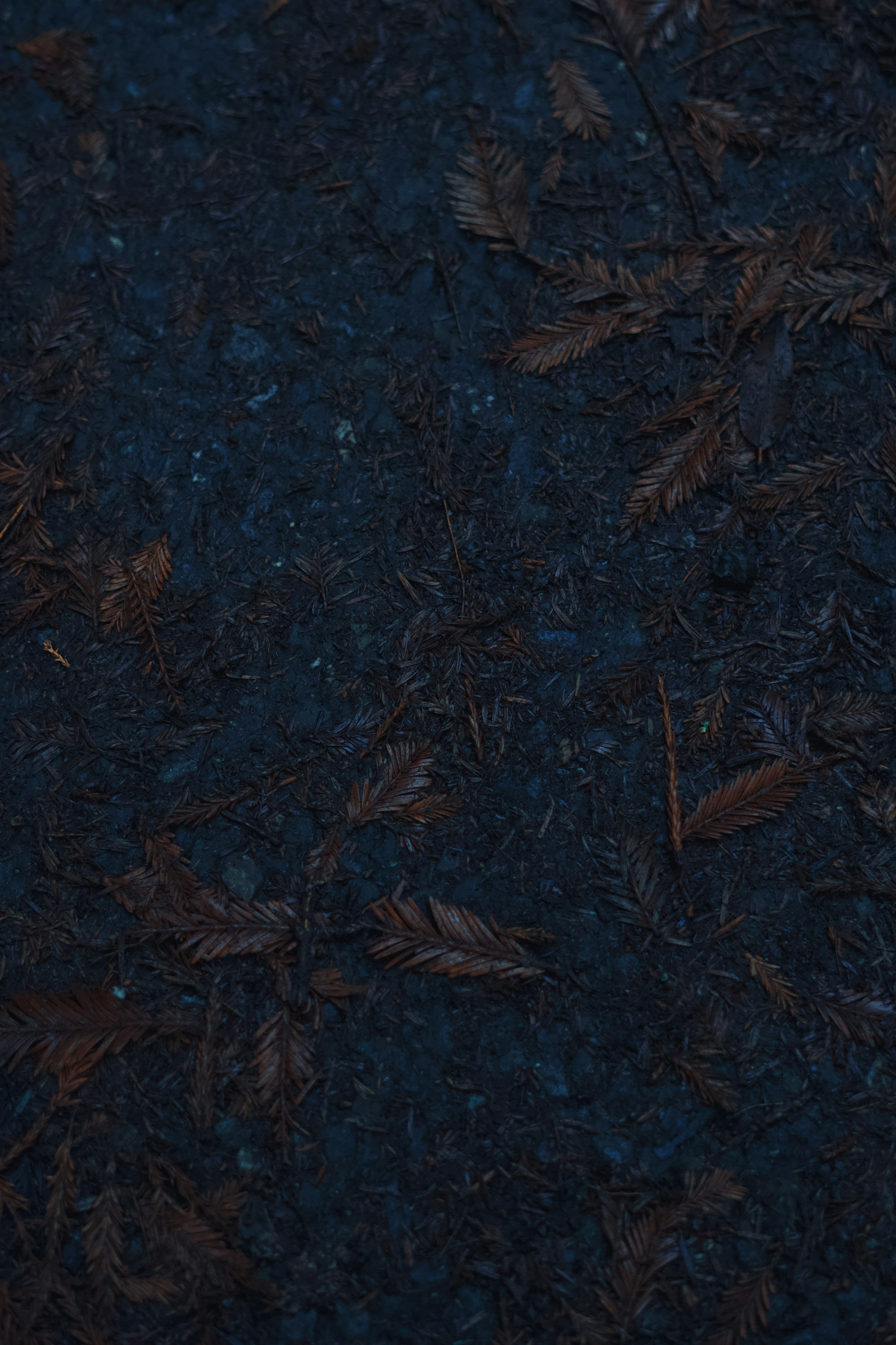 Photo by spencer_demera