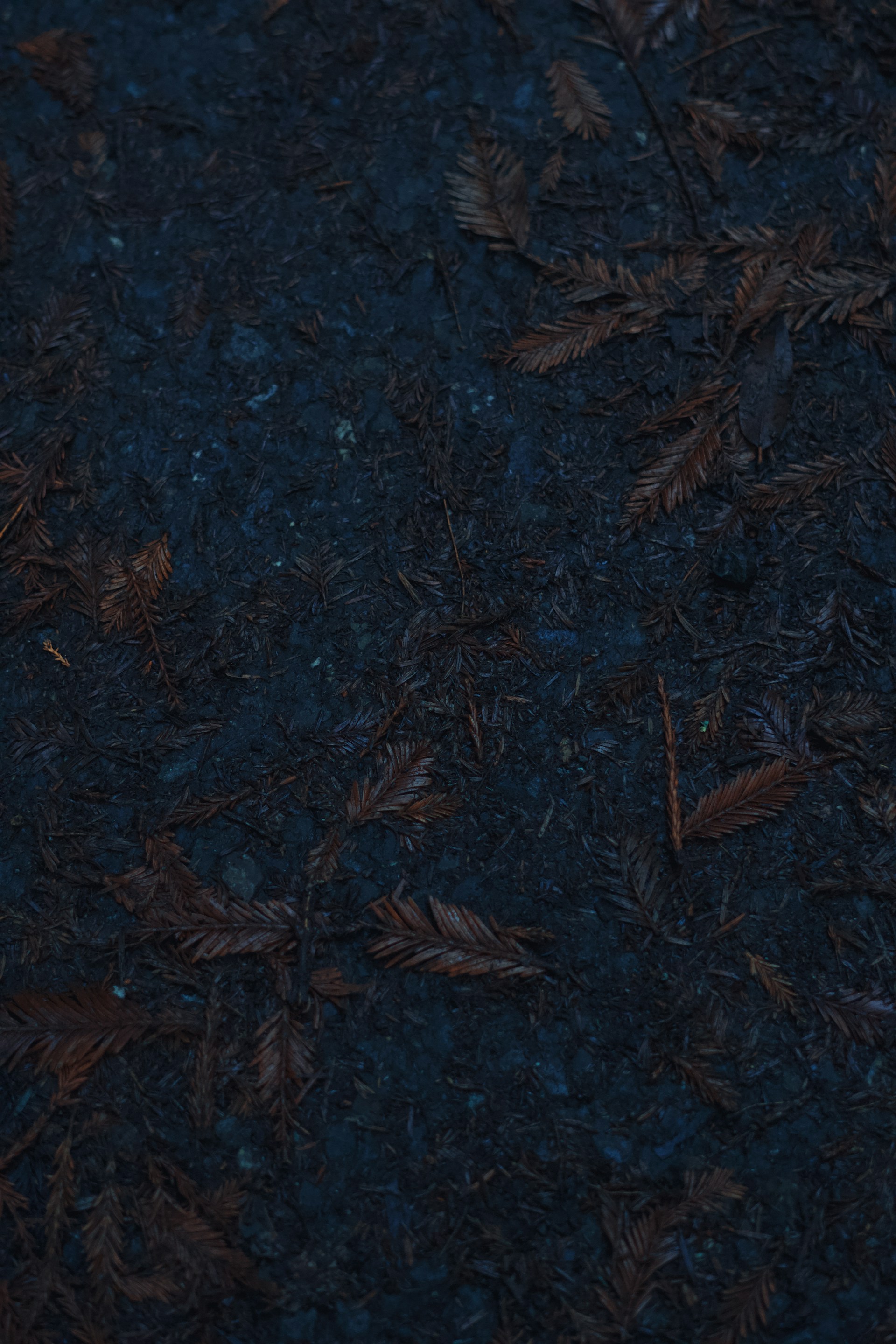 A cell phone laying on top of a blue surface
