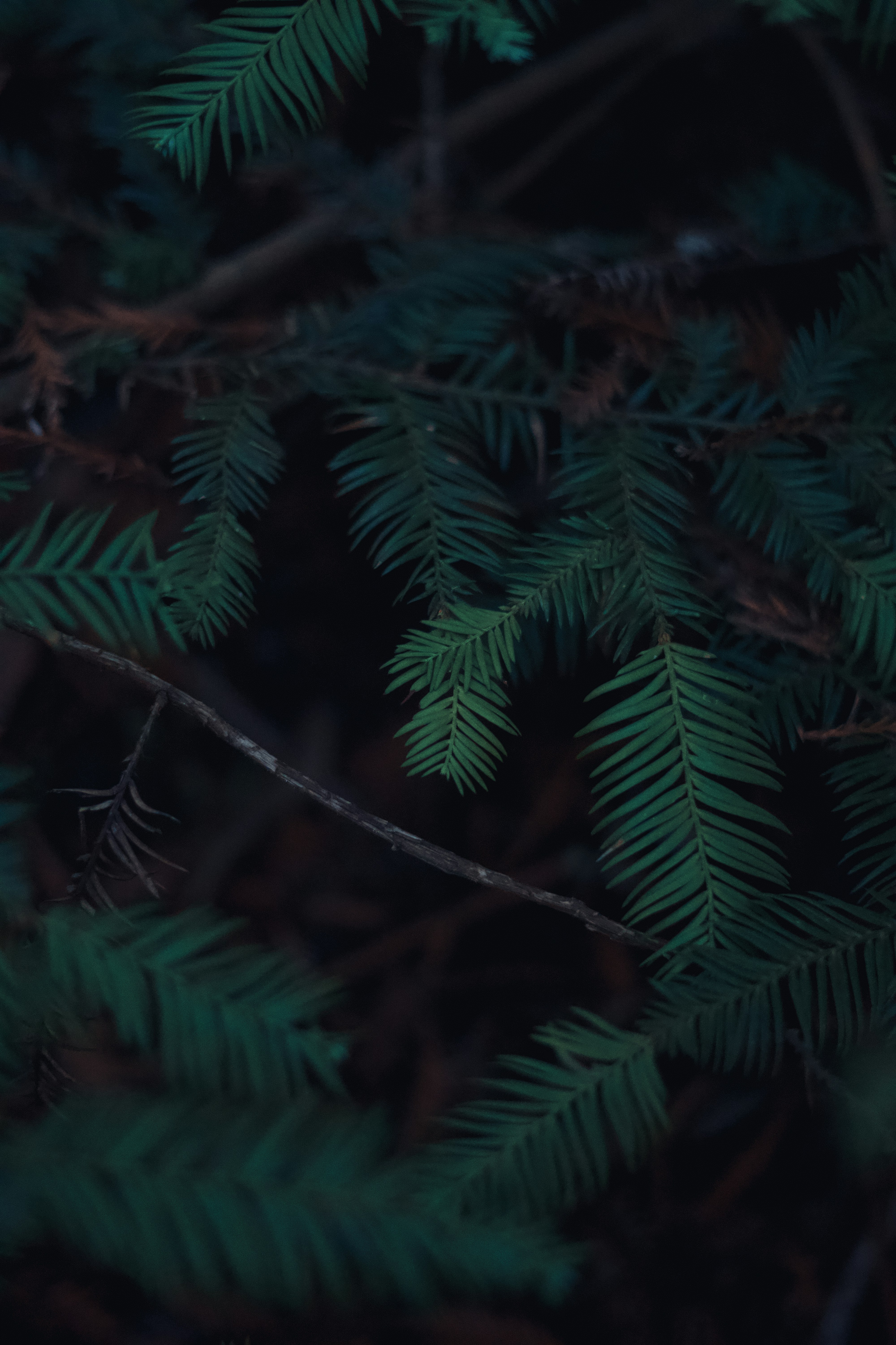 Photo by spencer_demera