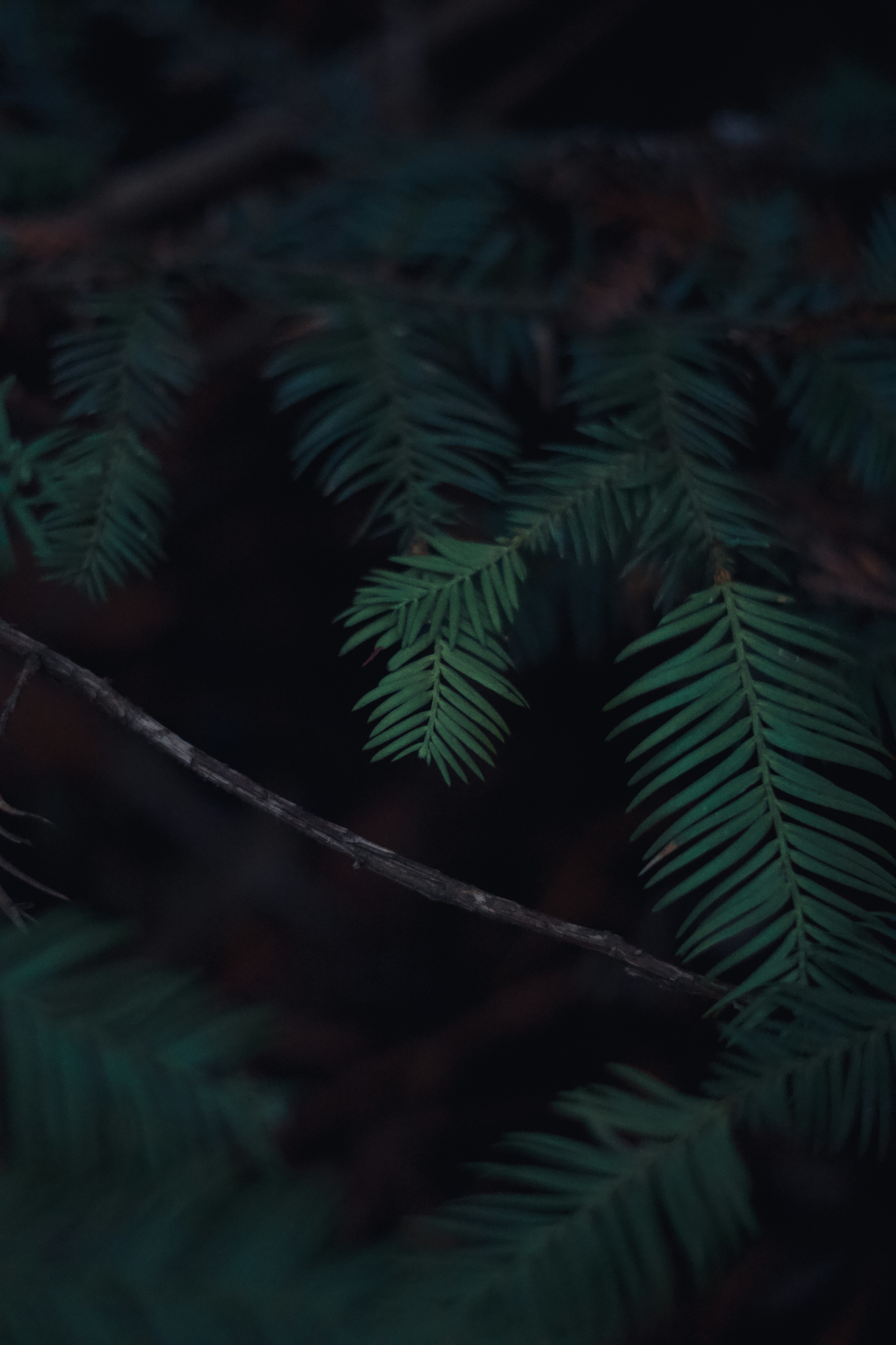 Photo by spencer_demera