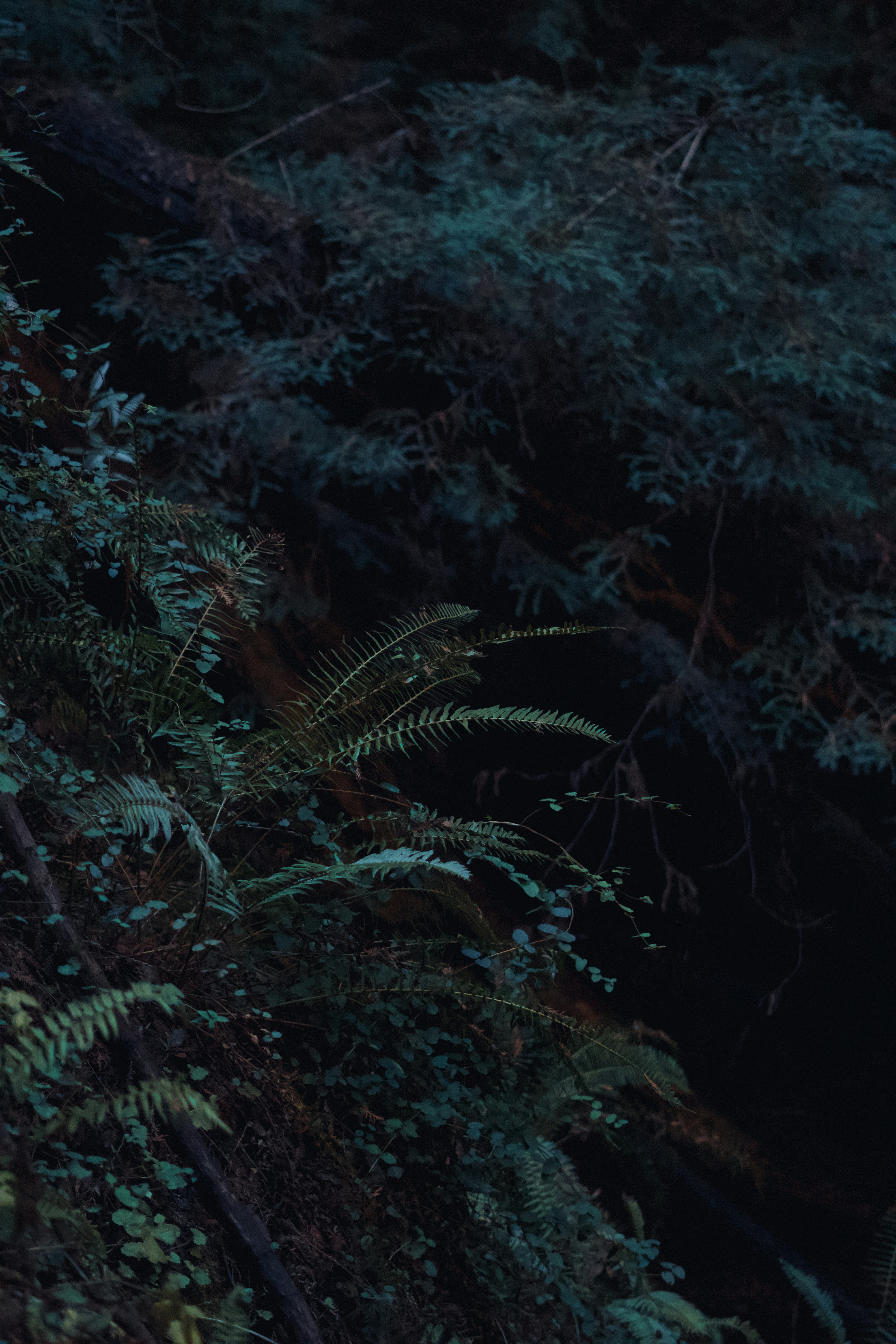 Photo by spencer_demera