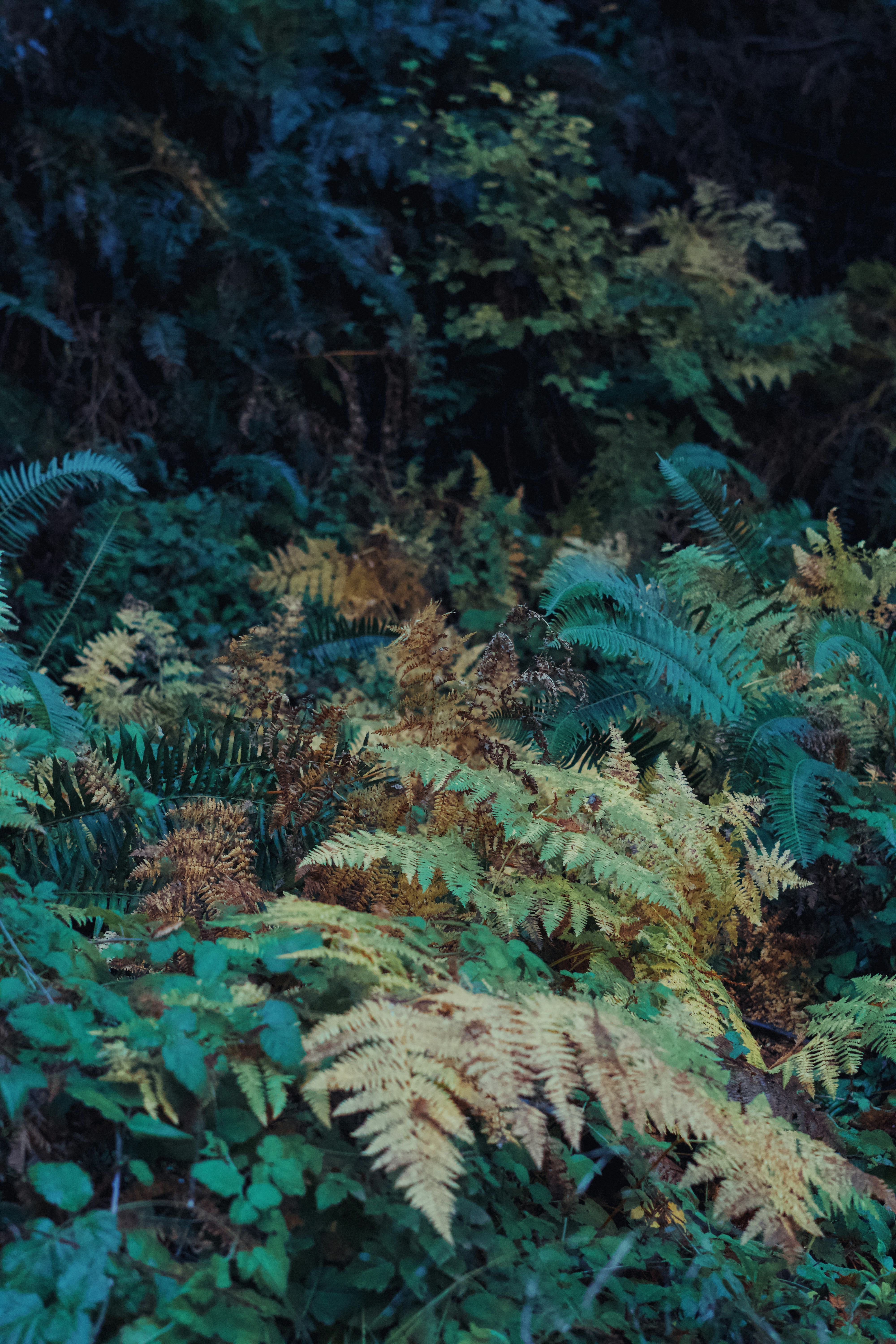 Photo by spencer_demera