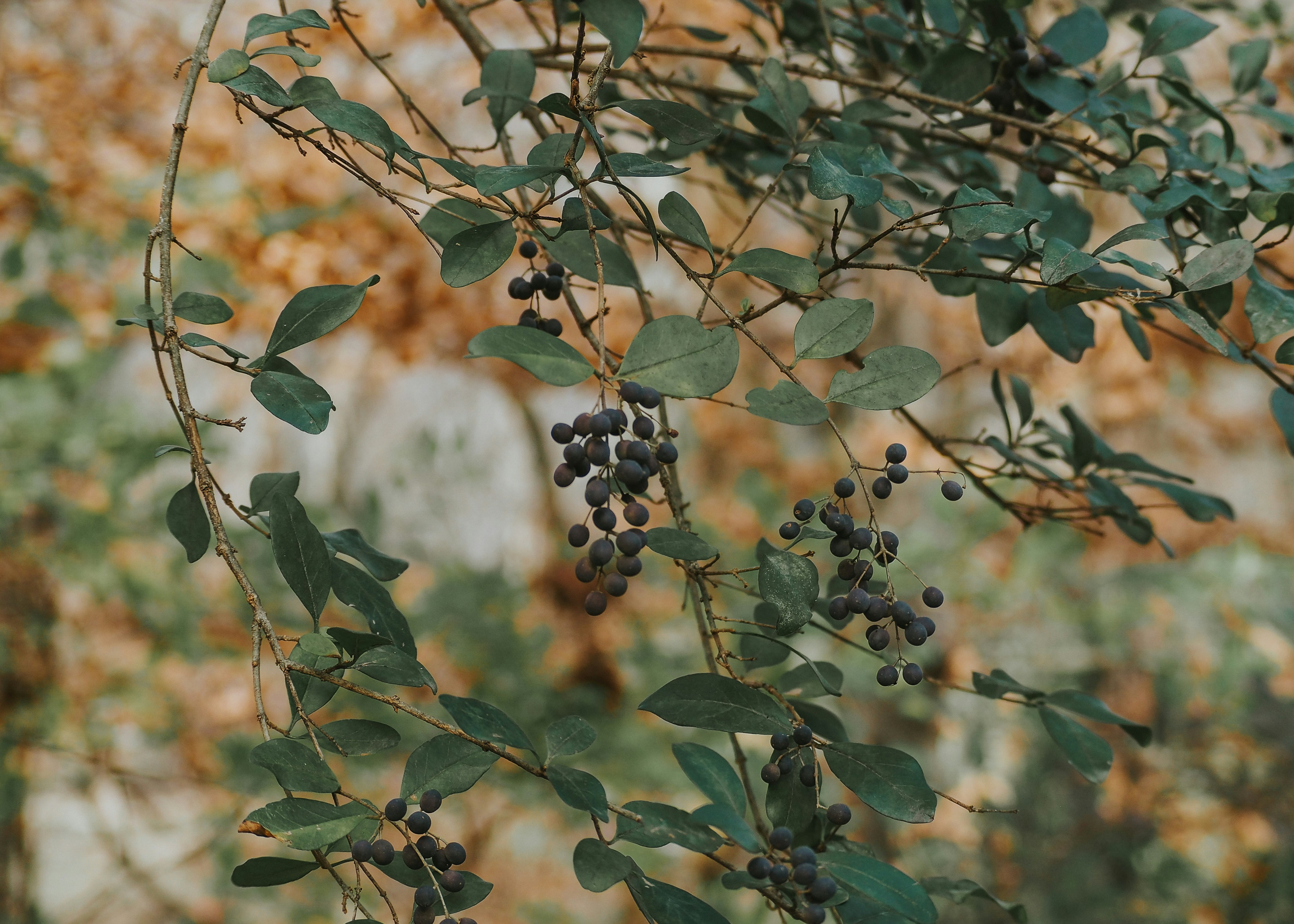 Photo by fieldworkframes