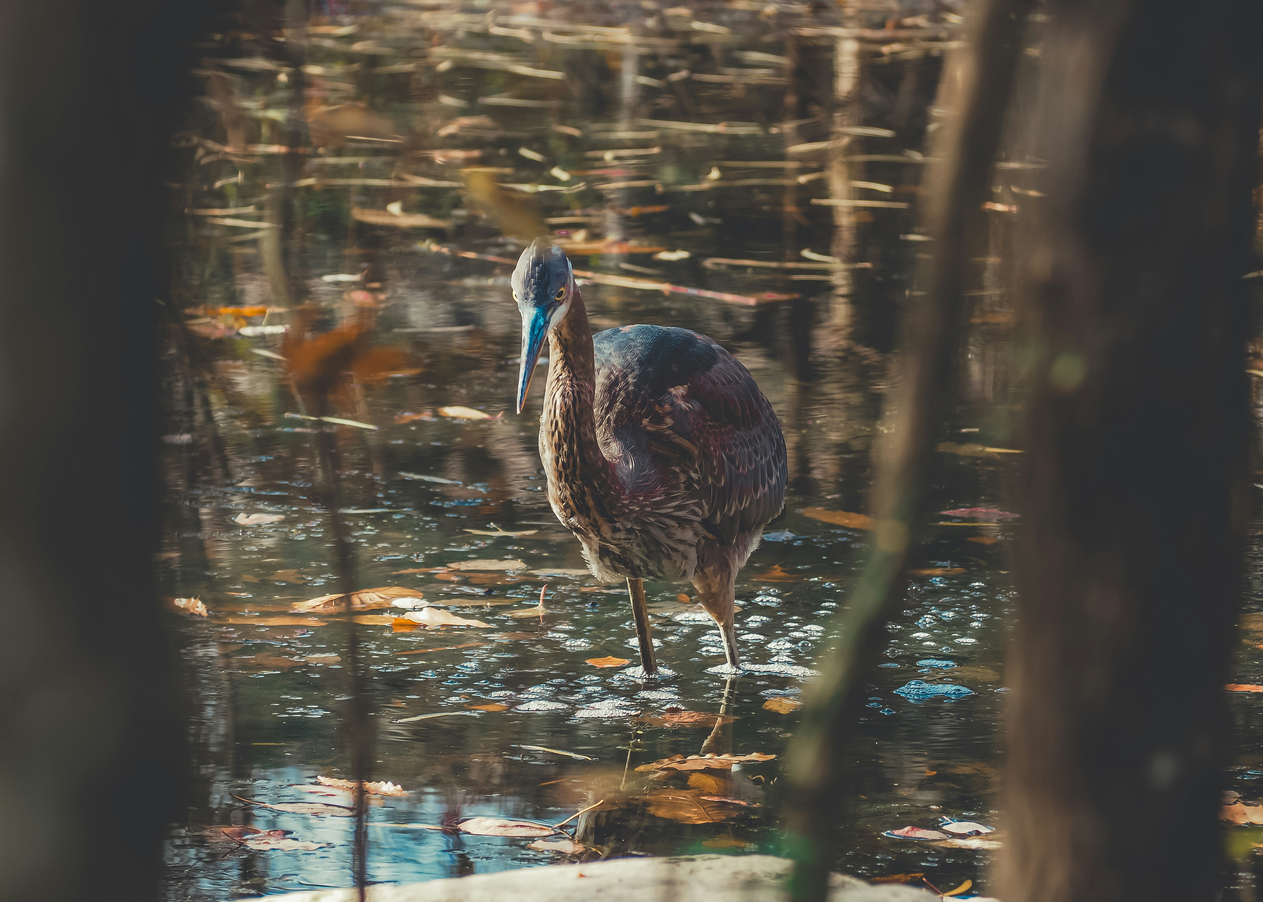 Photo by fieldworkframes