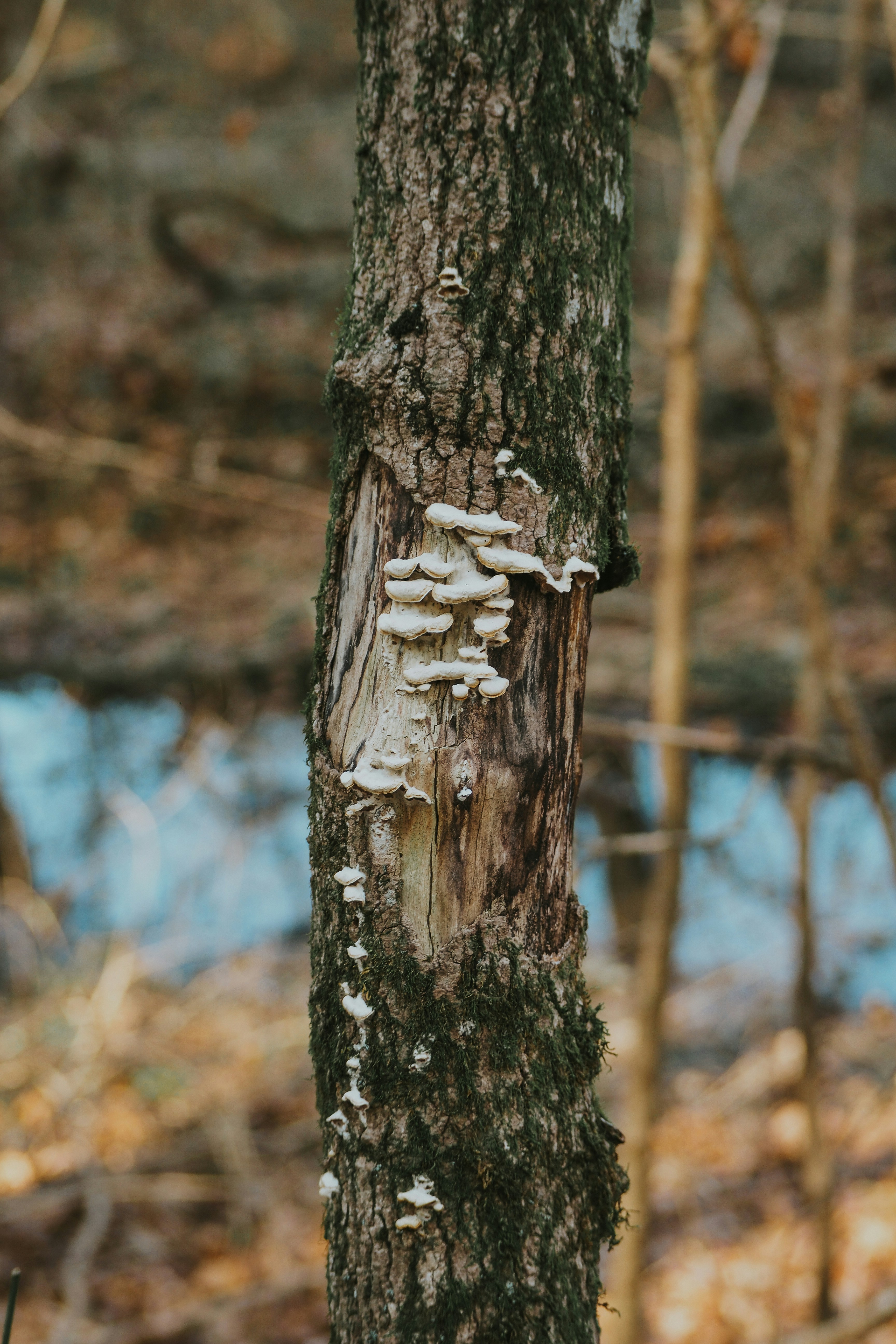 Photo by fieldworkframes
