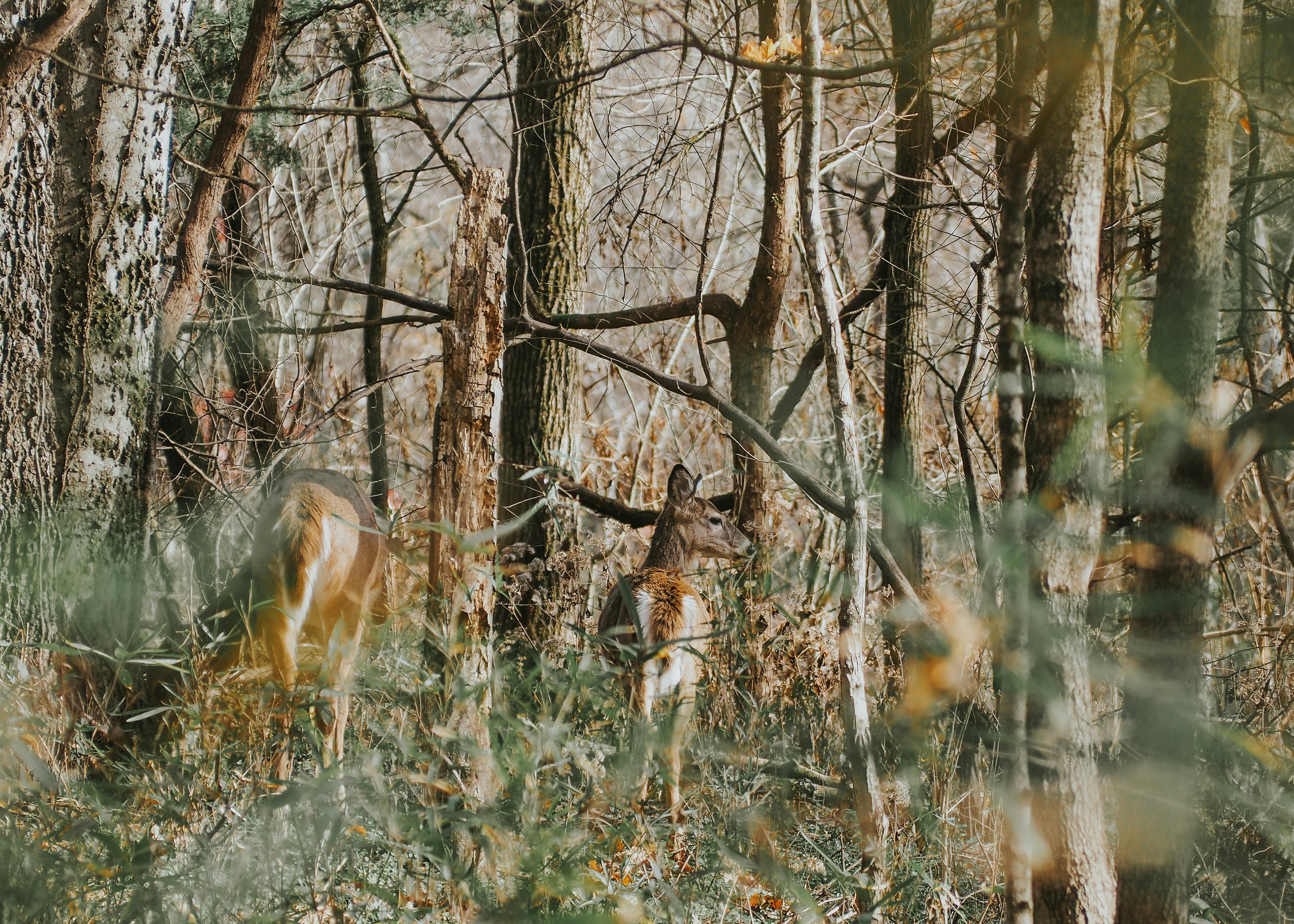 Photo by fieldworkframes