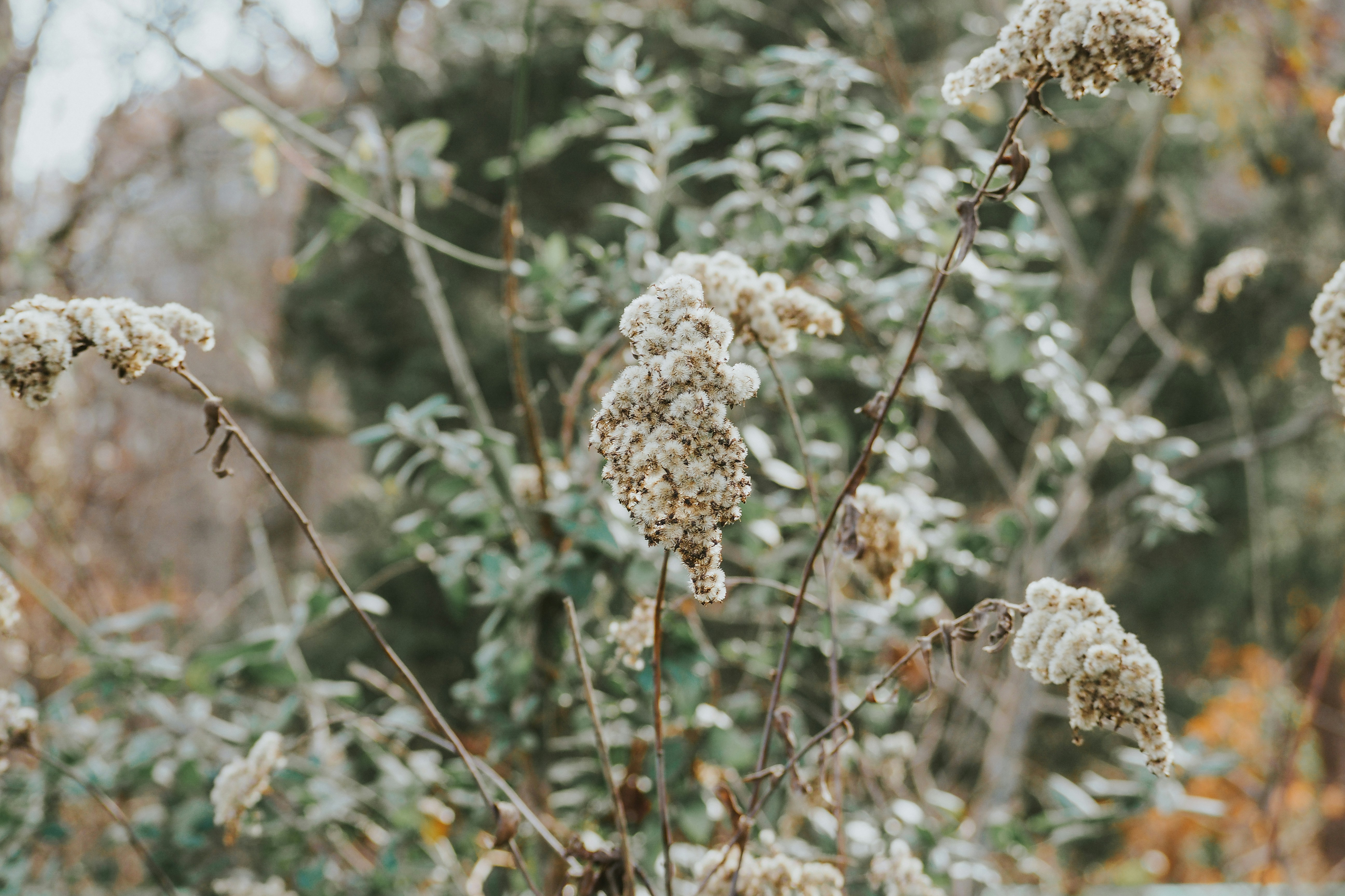 Photo by fieldworkframes