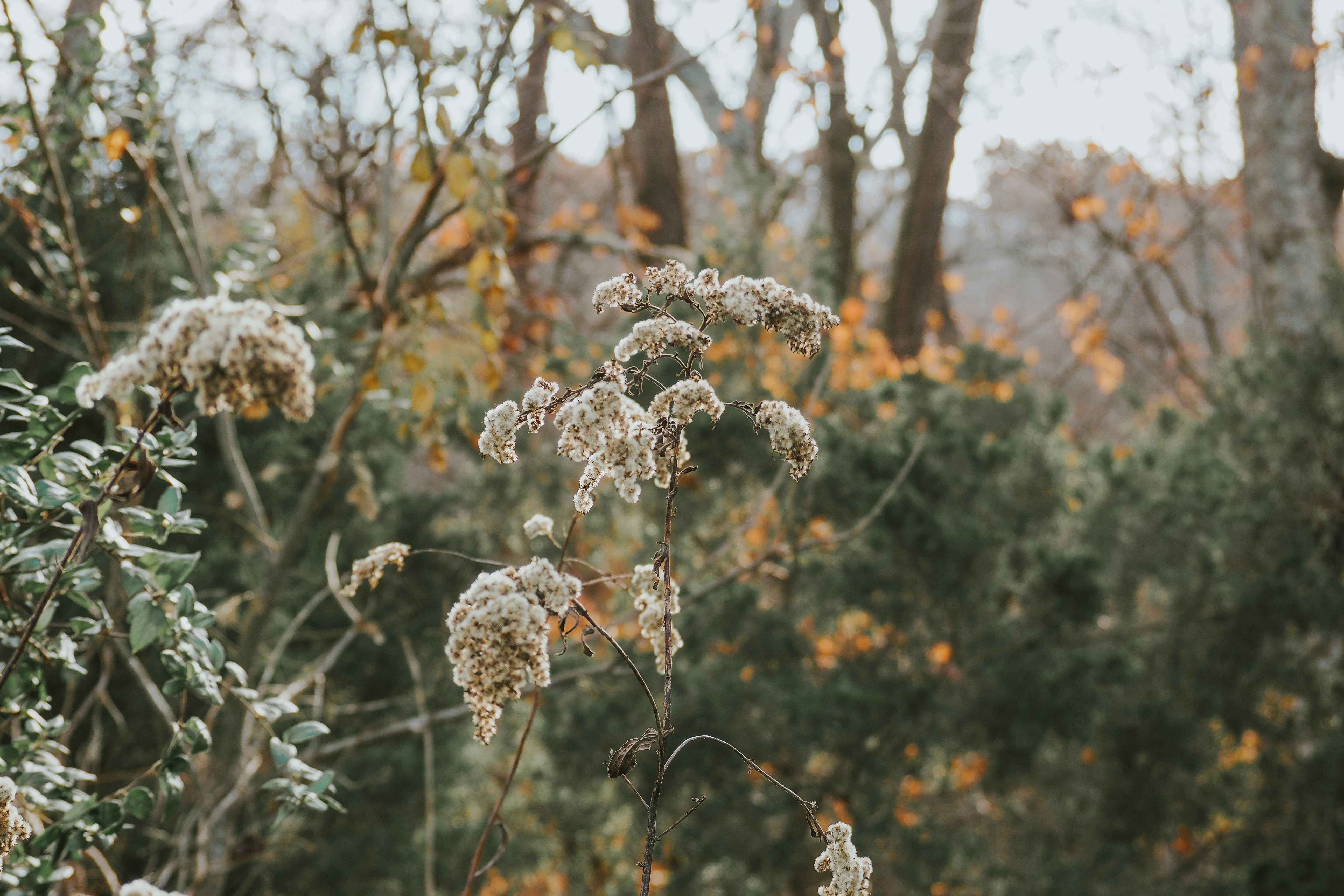 Photo by fieldworkframes