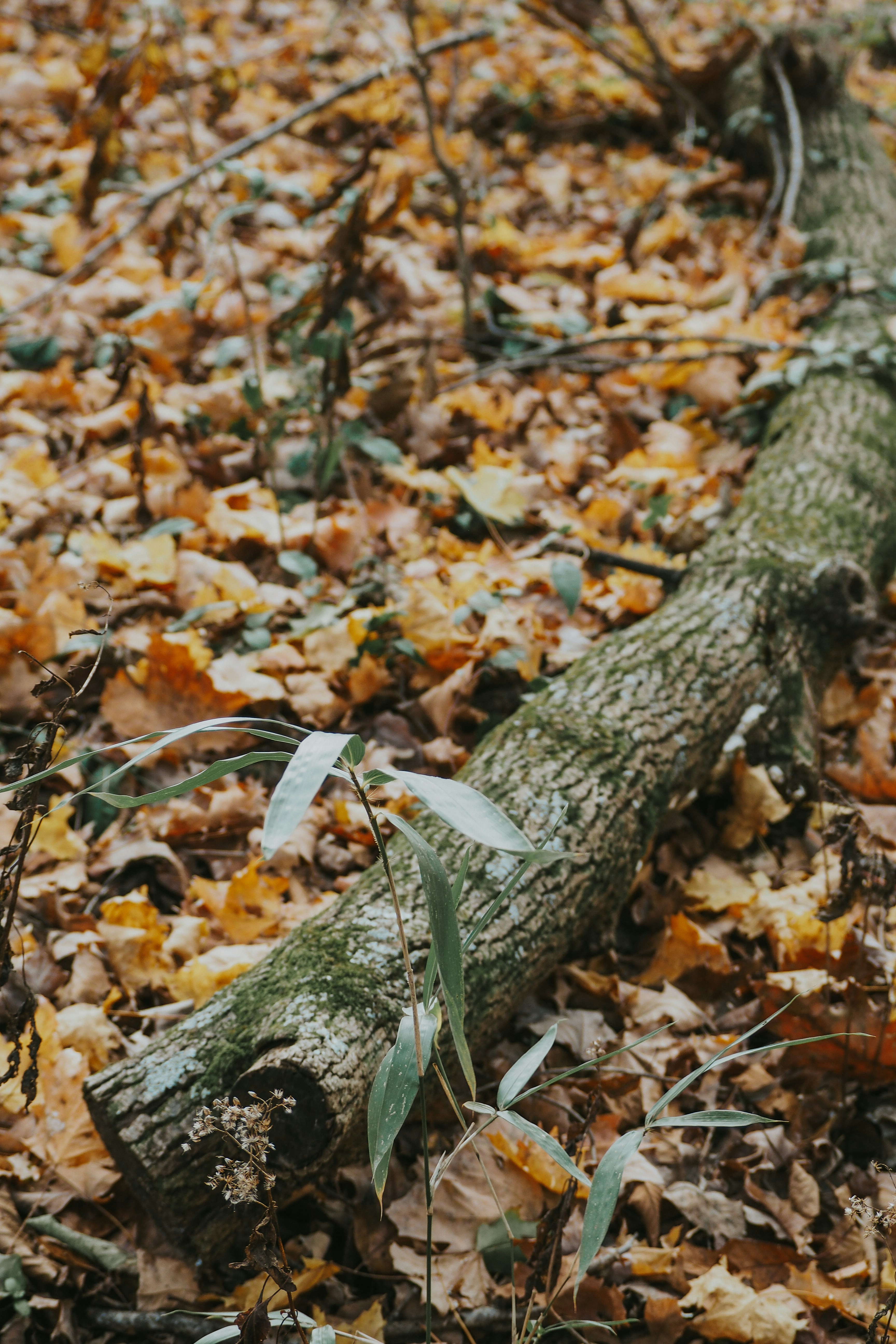 Photo by fieldworkframes