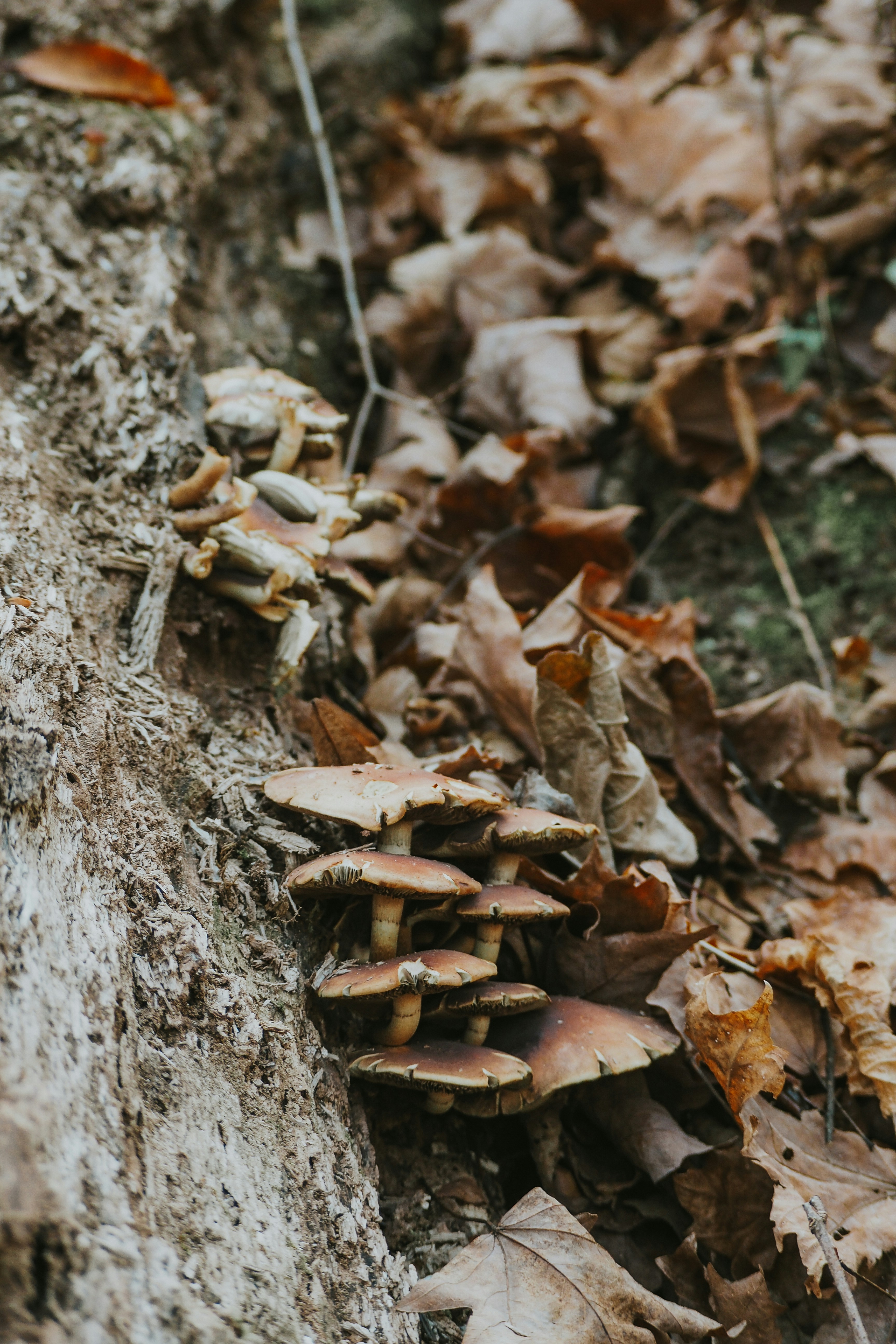 Photo by fieldworkframes