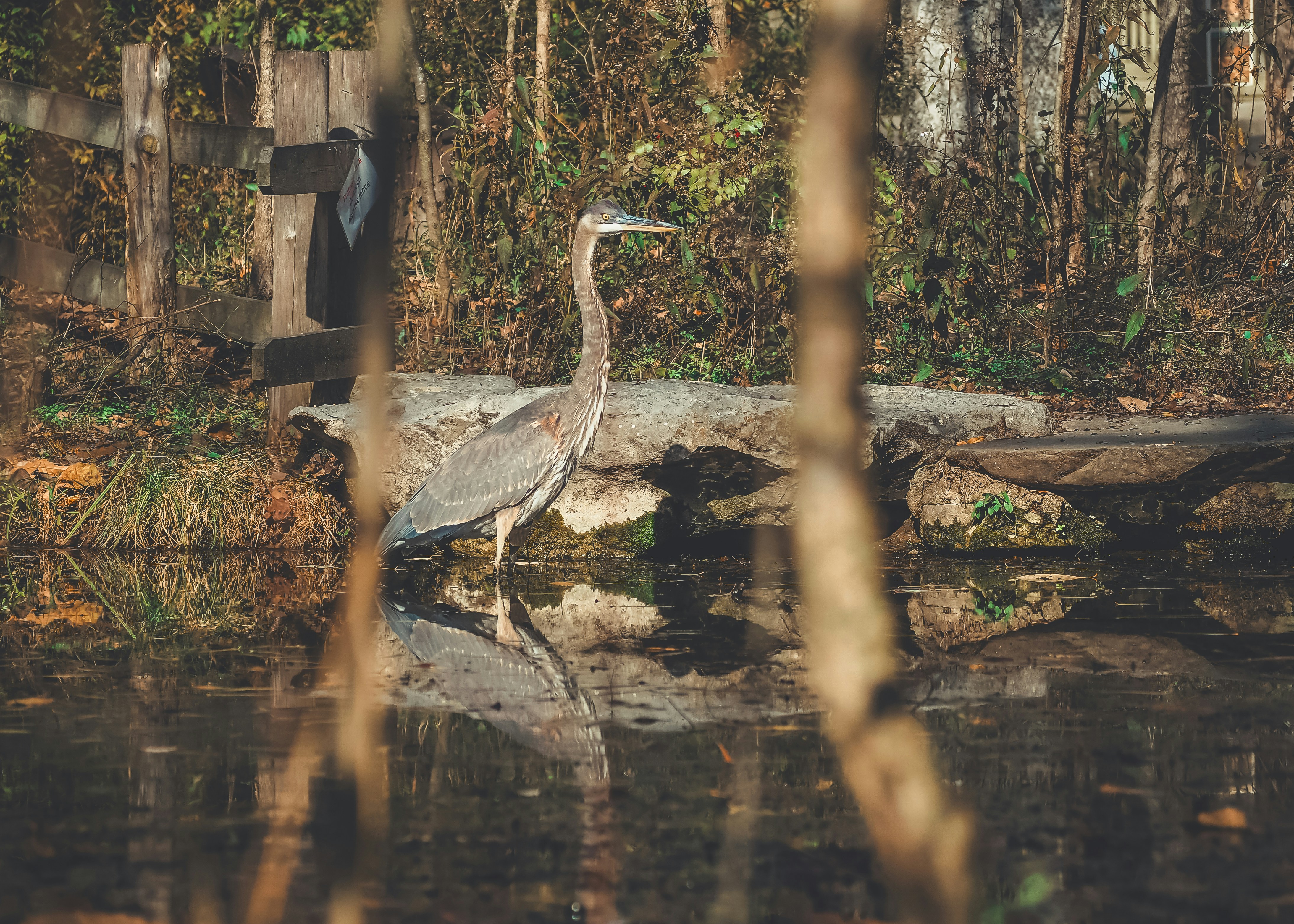 Photo by fieldworkframes