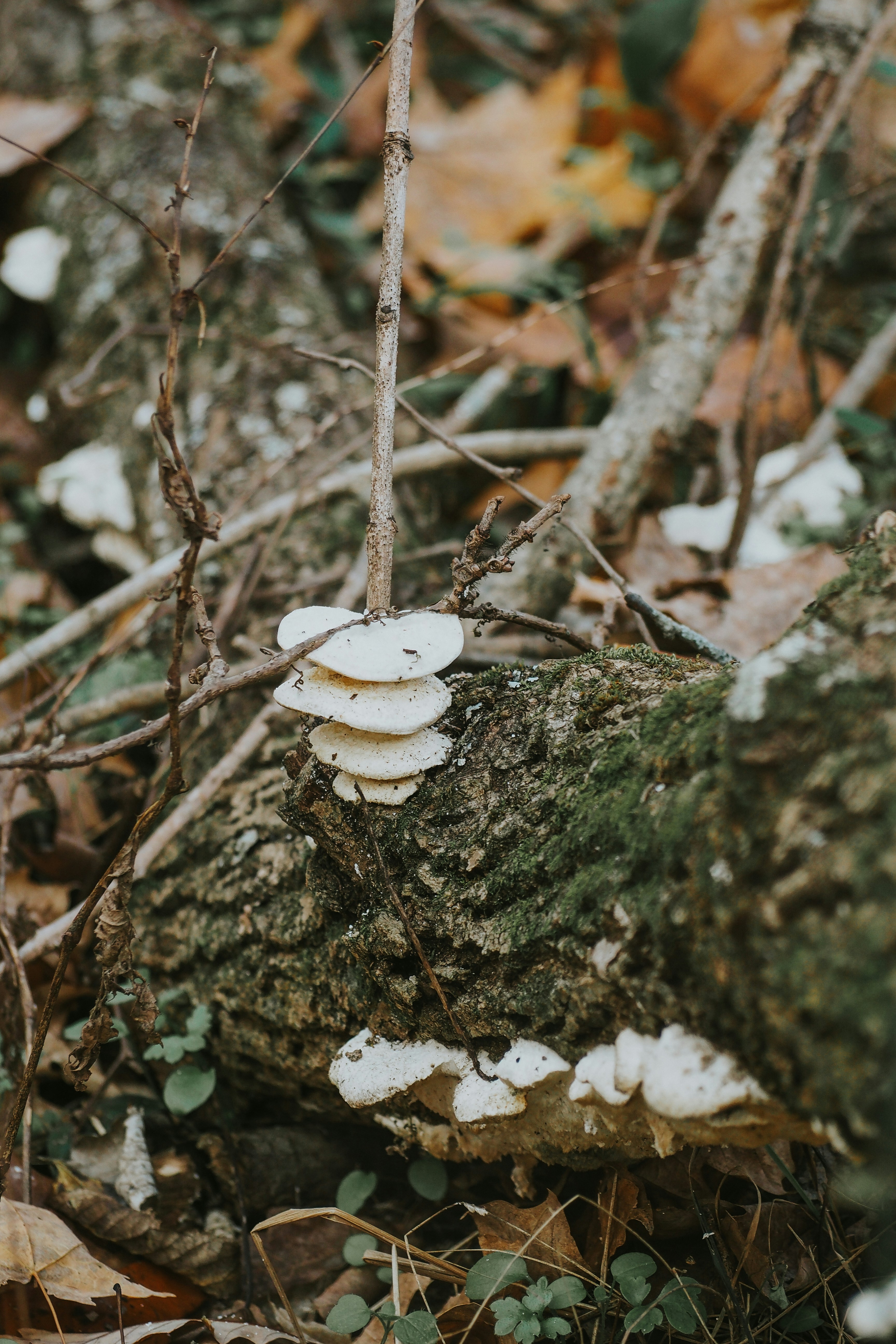 Photo by fieldworkframes
