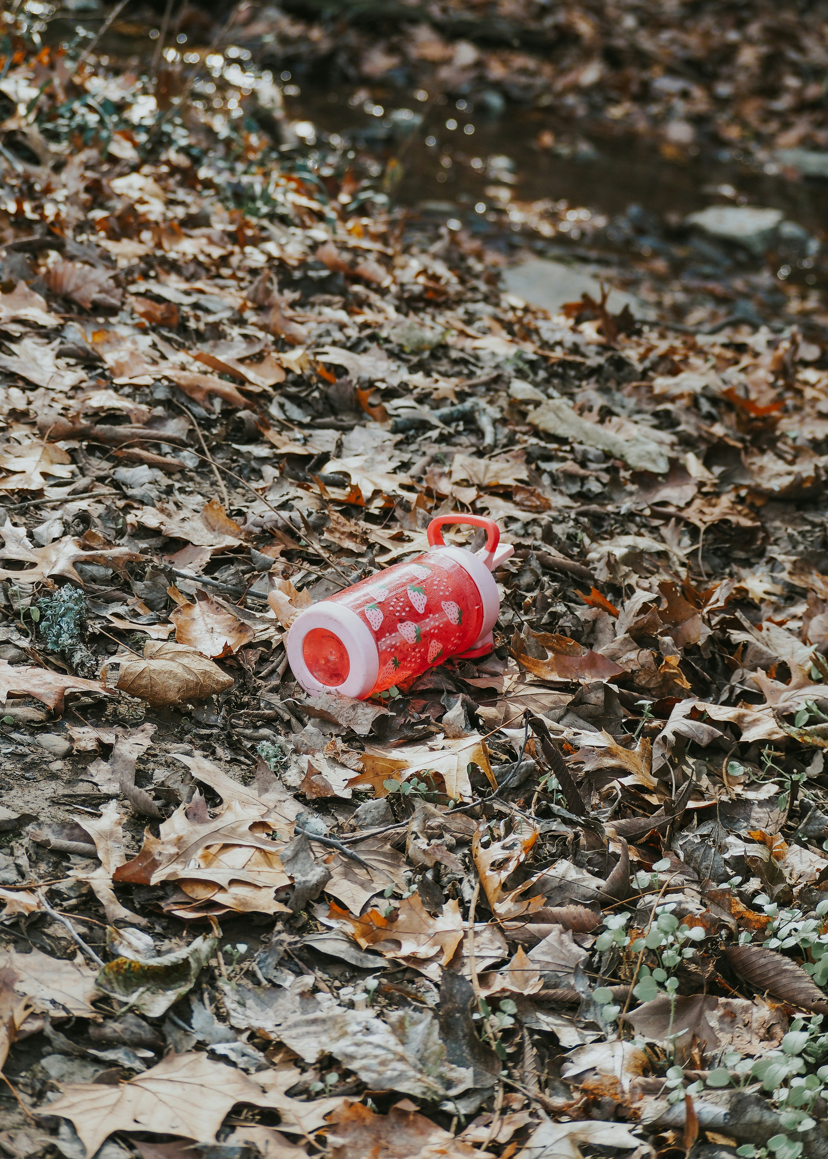 Photo by fieldworkframes