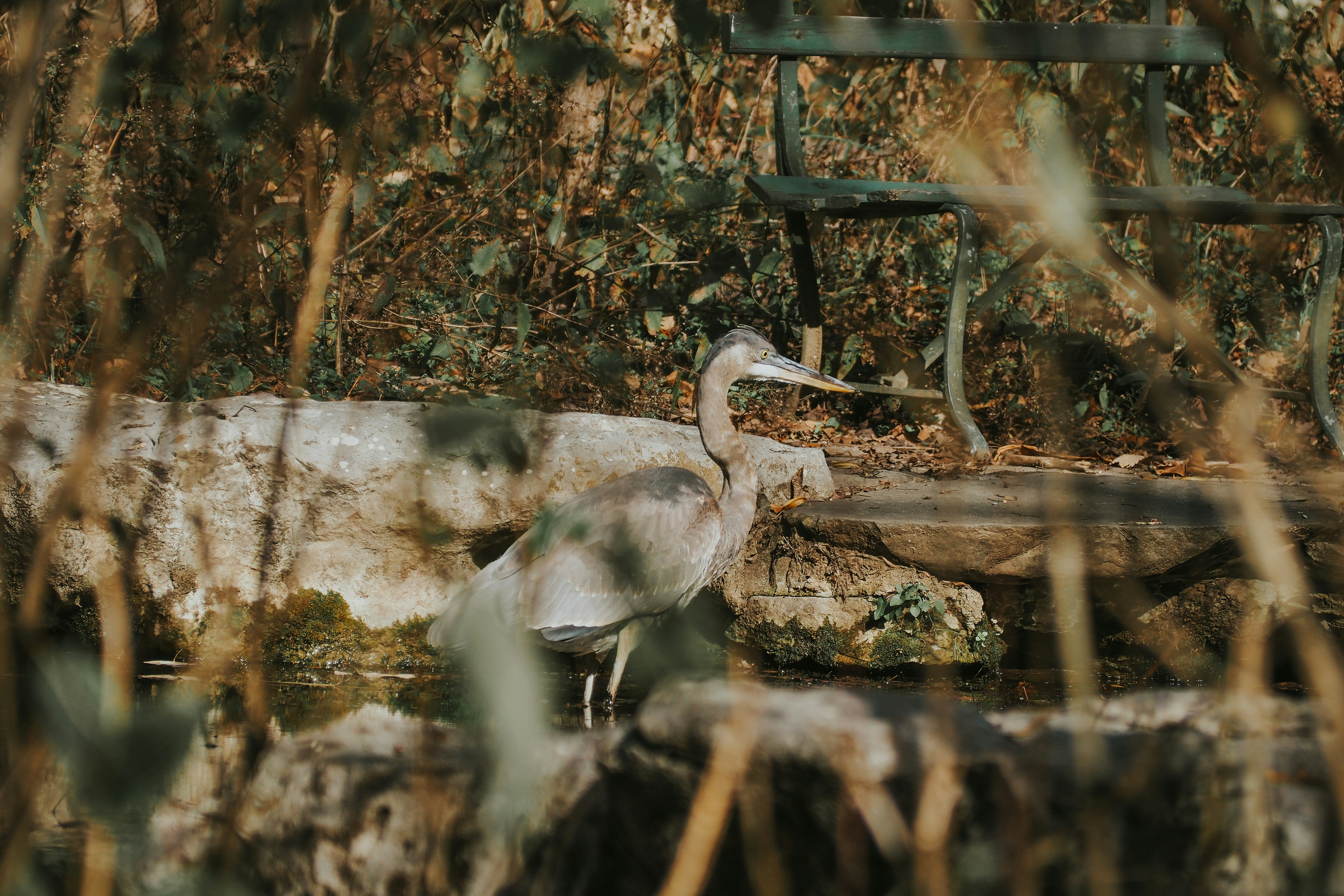 Photo by fieldworkframes