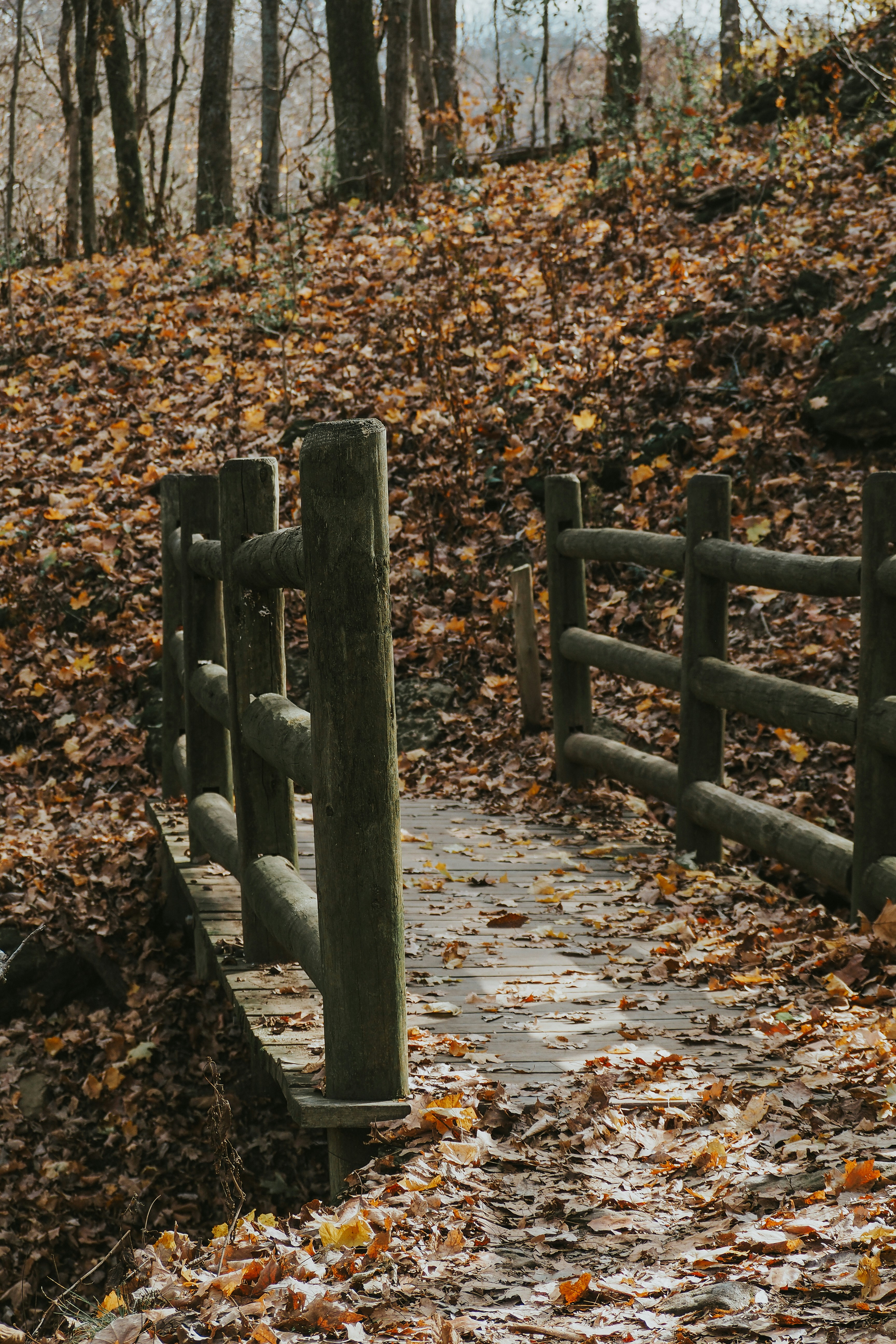 Photo by fieldworkframes