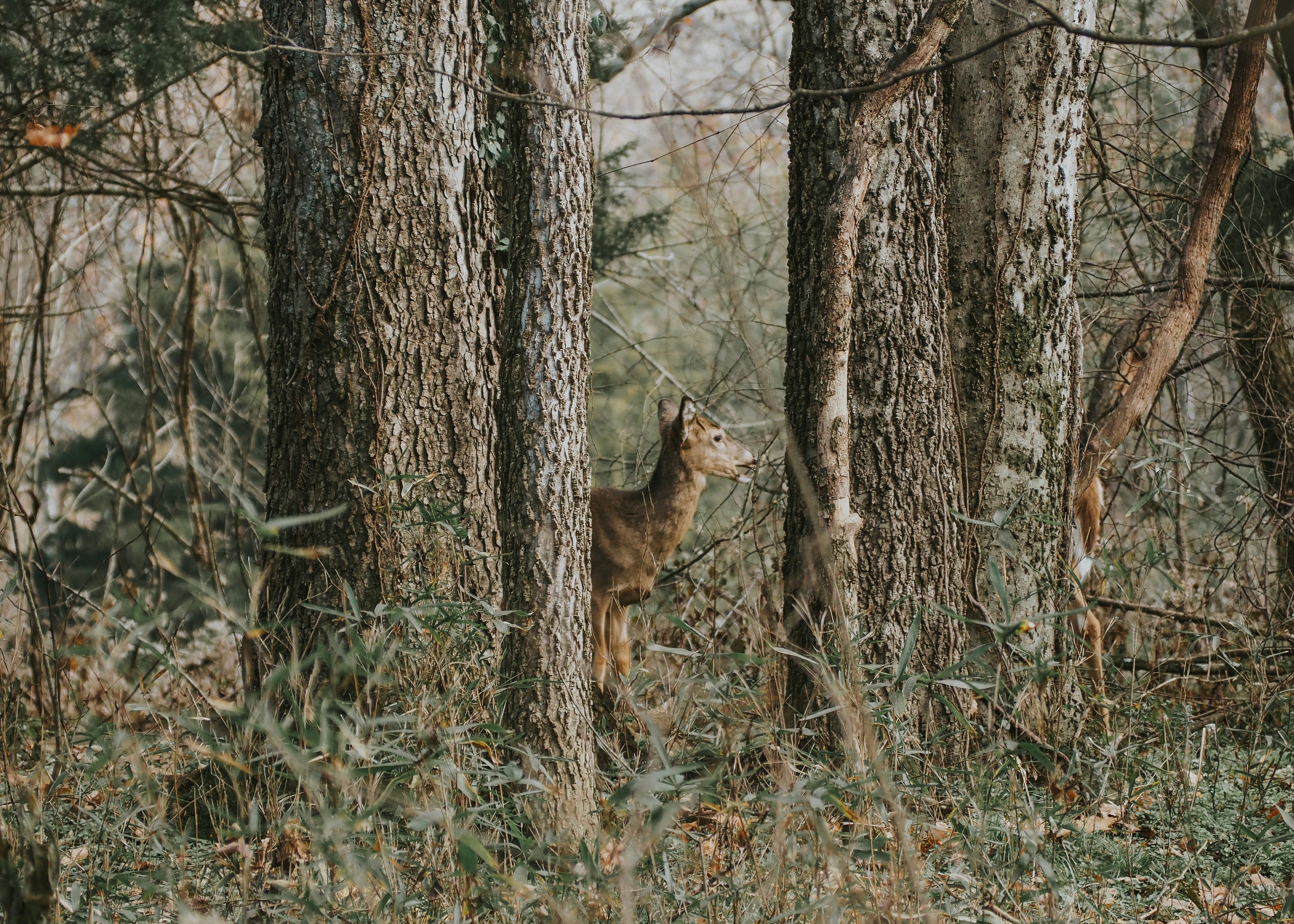 Photo by fieldworkframes