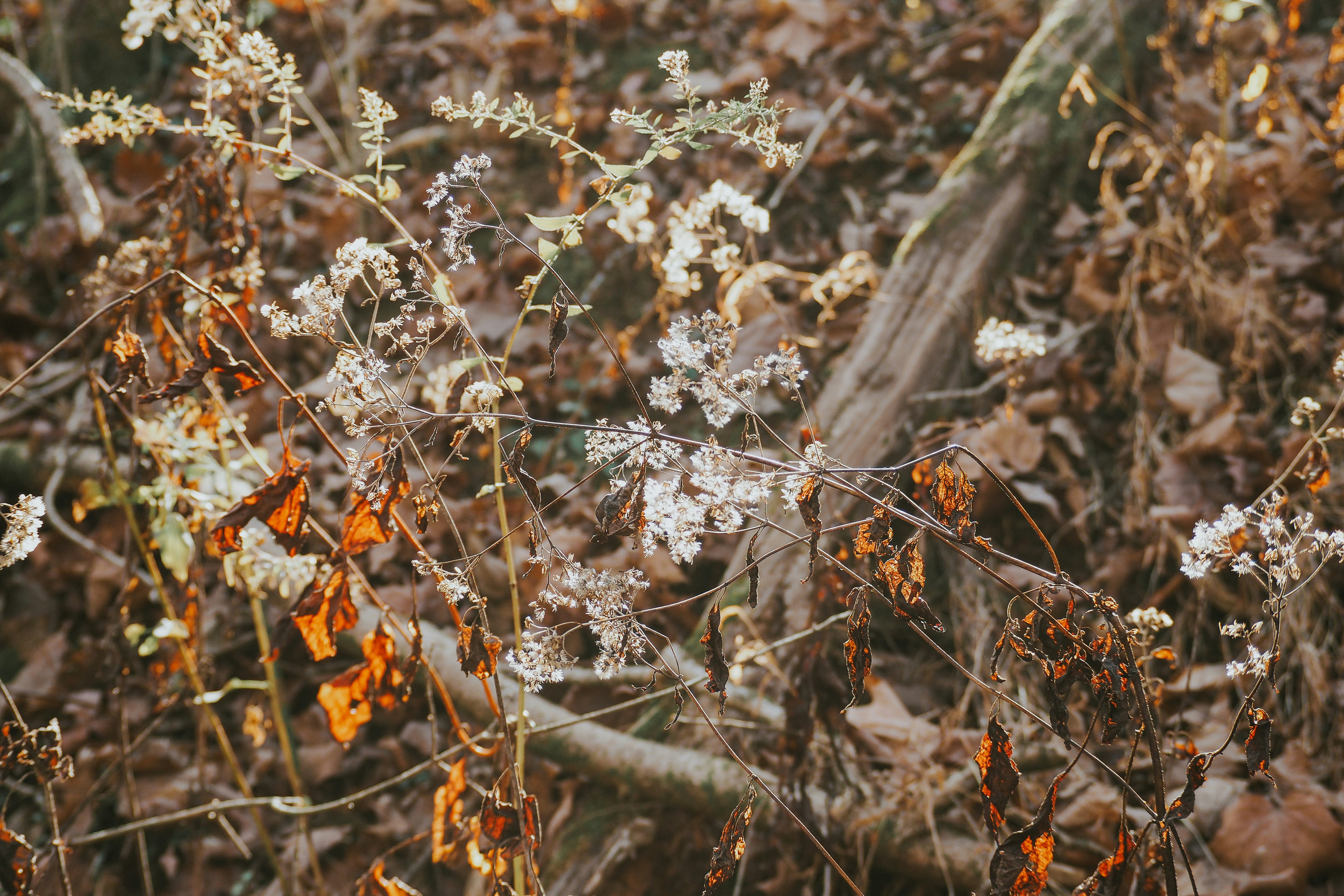 Photo by fieldworkframes